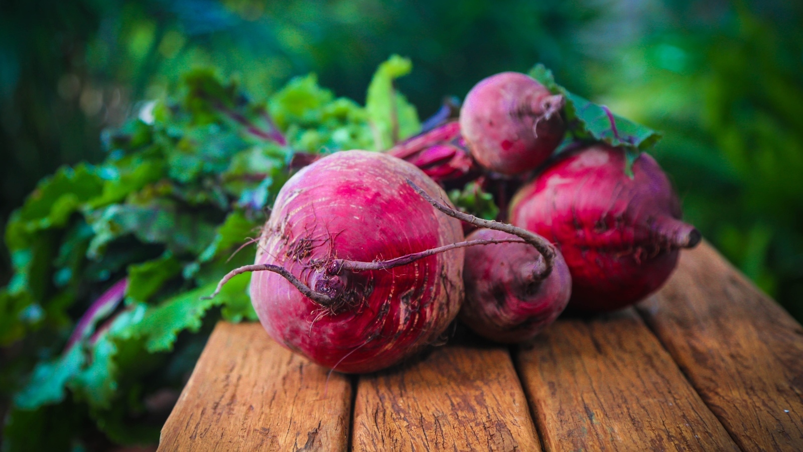 Свежая красная свекла на деревянном столе
