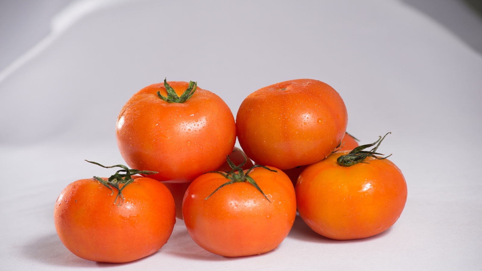 Спелые чистые красные помидоры