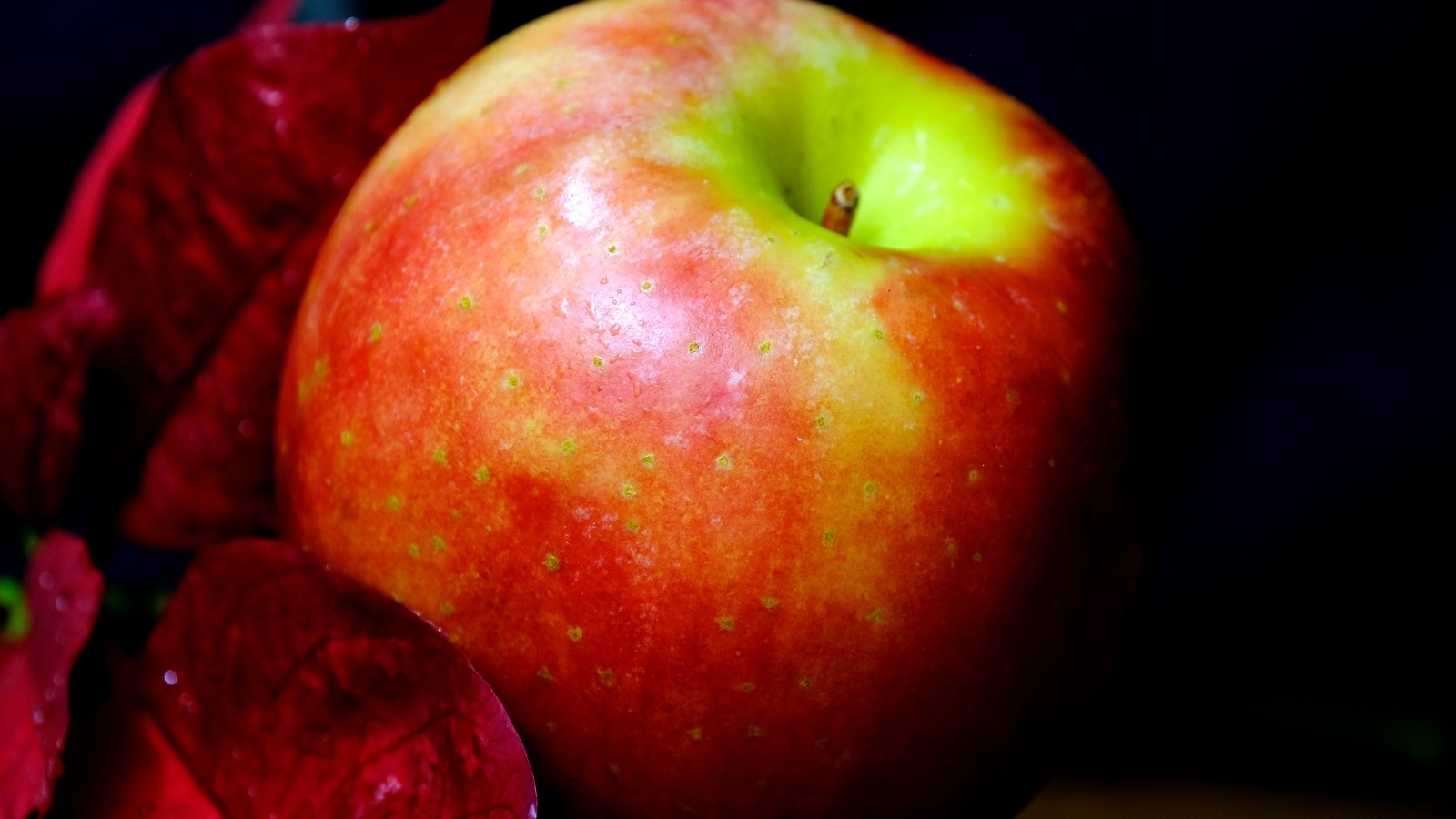 Аппетитное красное яблоко на черном фоне