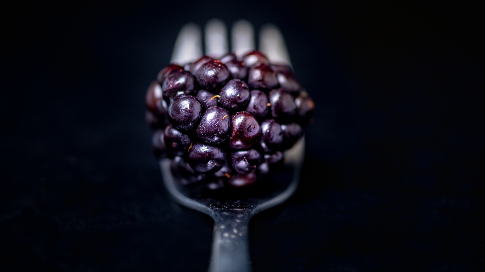 Ягода ежевики на вилке на черном фоне