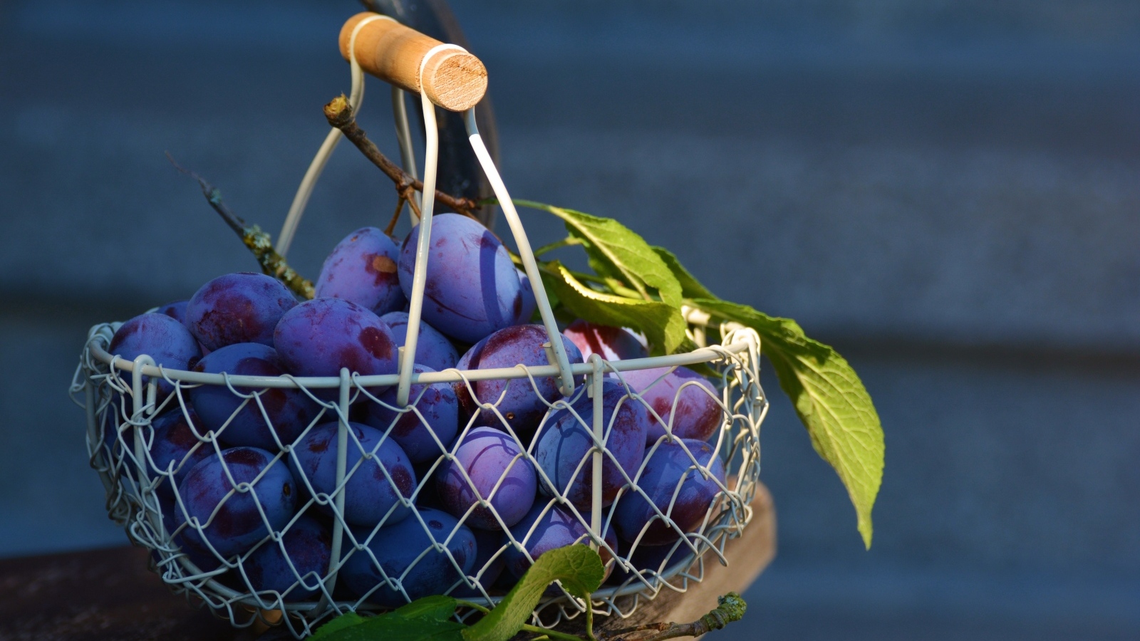Спелые синие сливы в корзине на столе