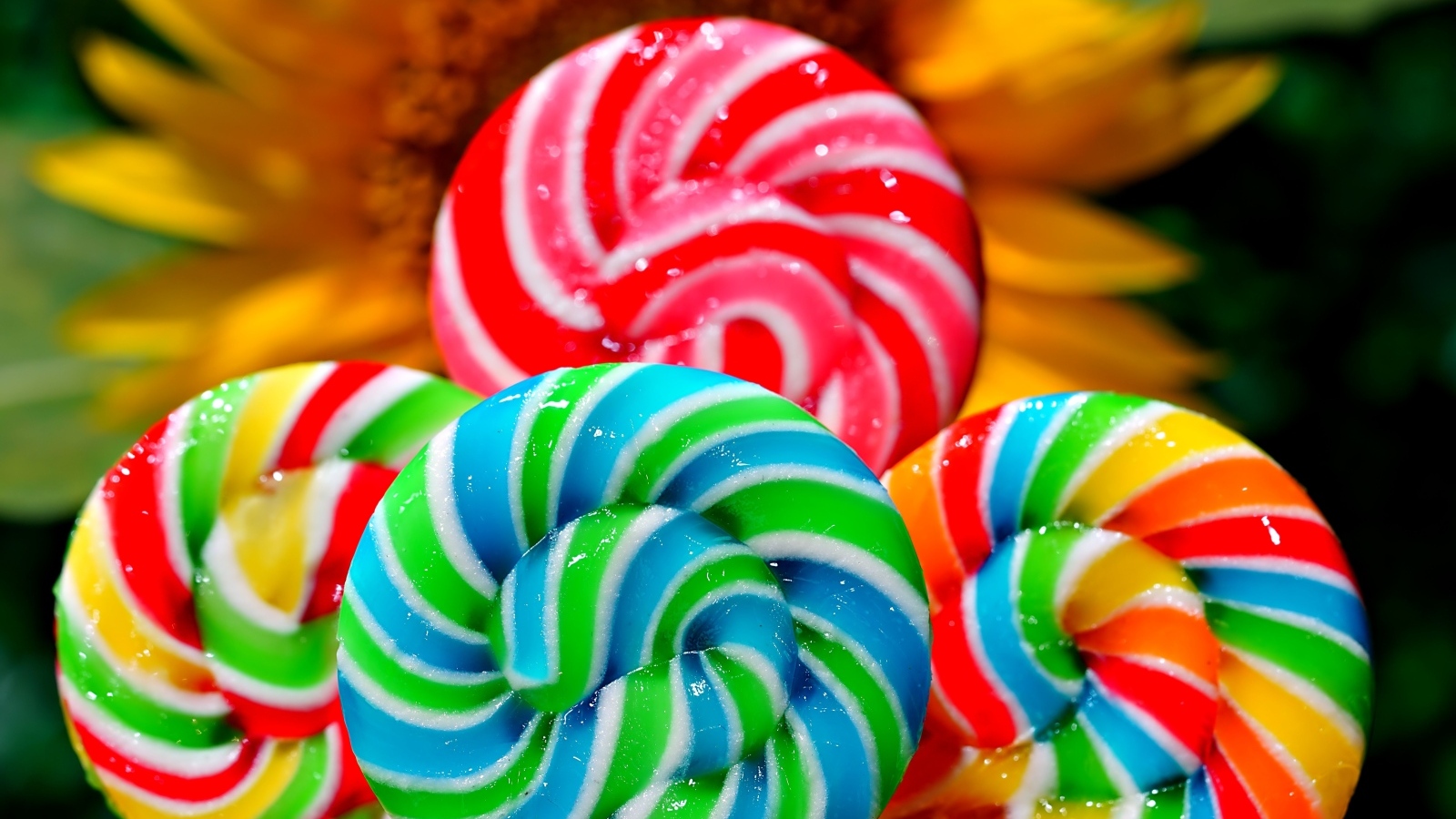 Яркие разноцветные леденцы на палочке