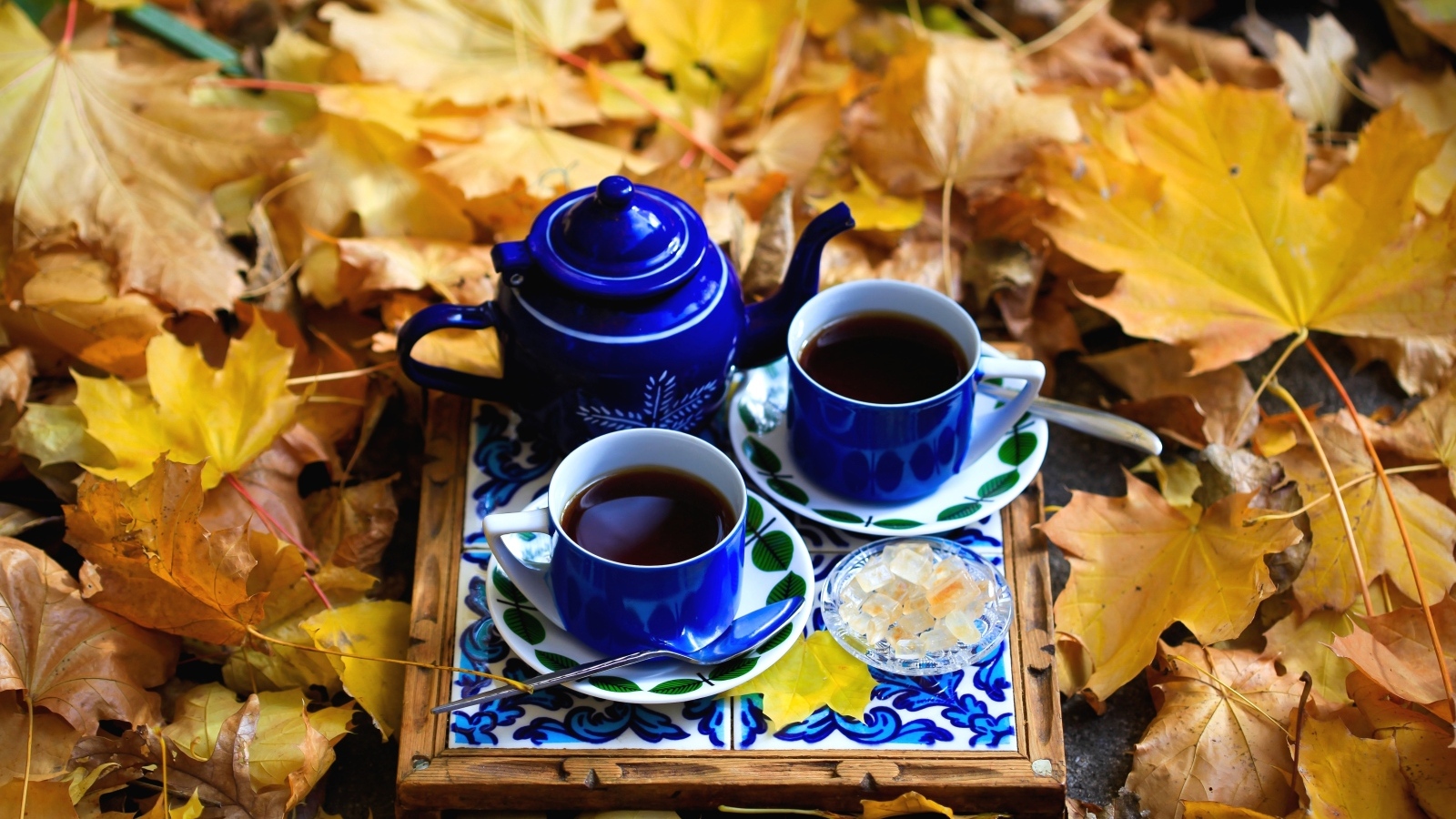 Две чашки кофе с чайником стоят на опавшей листве