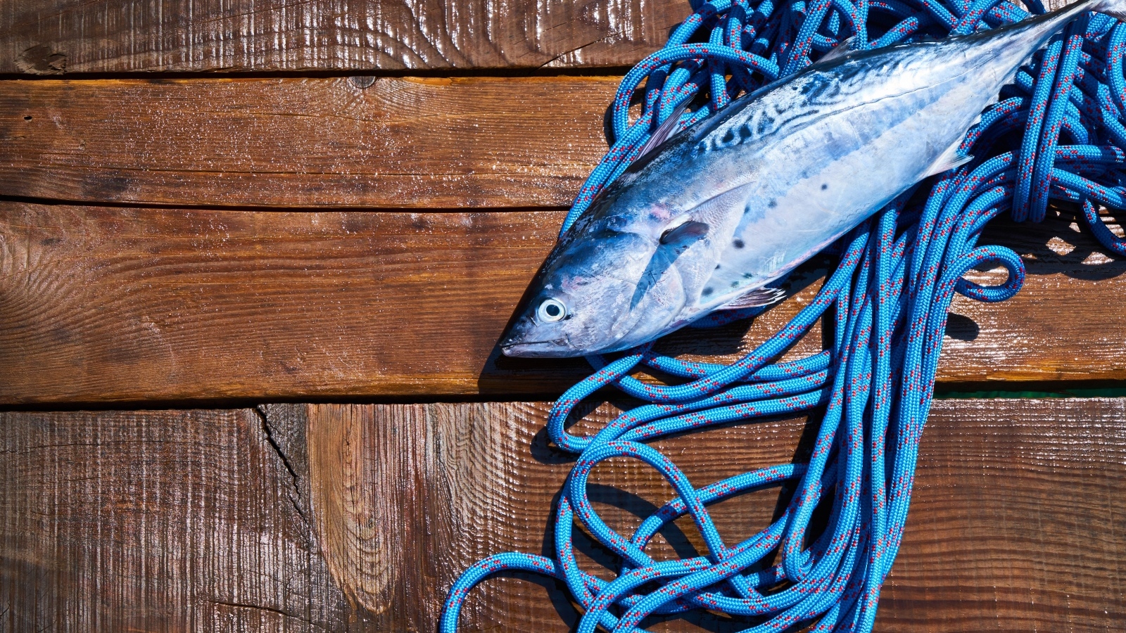 Свежая рыба с веревкой на деревянном столе