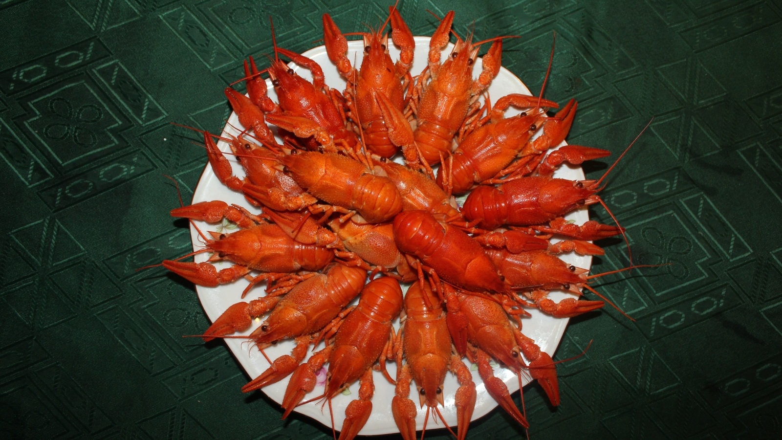 Красные вареные раки на белой тарелке