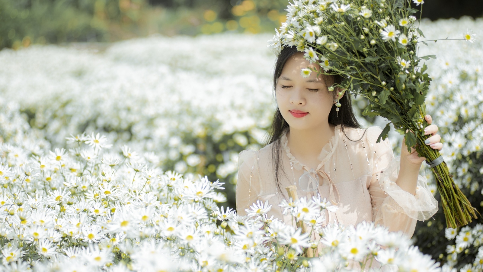 Красивая девушка азиатка на поле с белыми цветами хризантемы