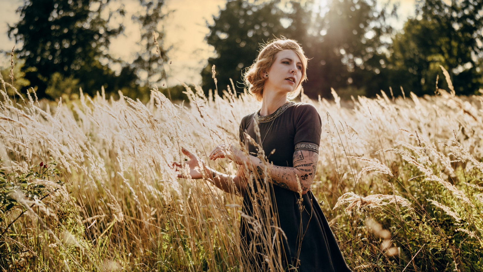 Красивая девушка в черном платье на поле с колосьями