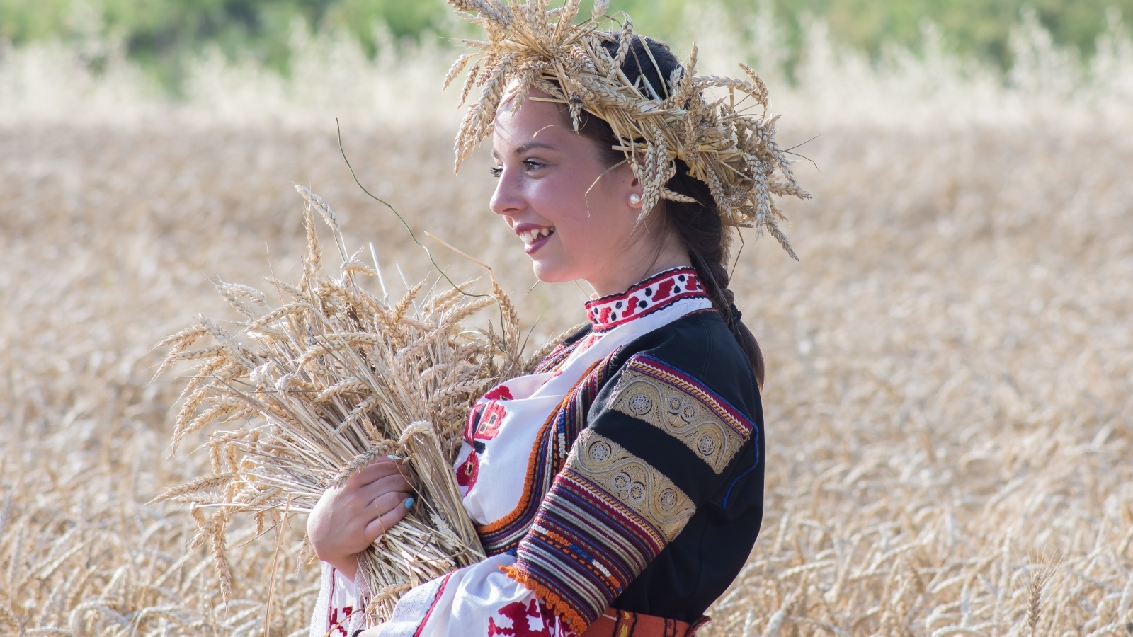 Красивая девушка на поле с пшеницей