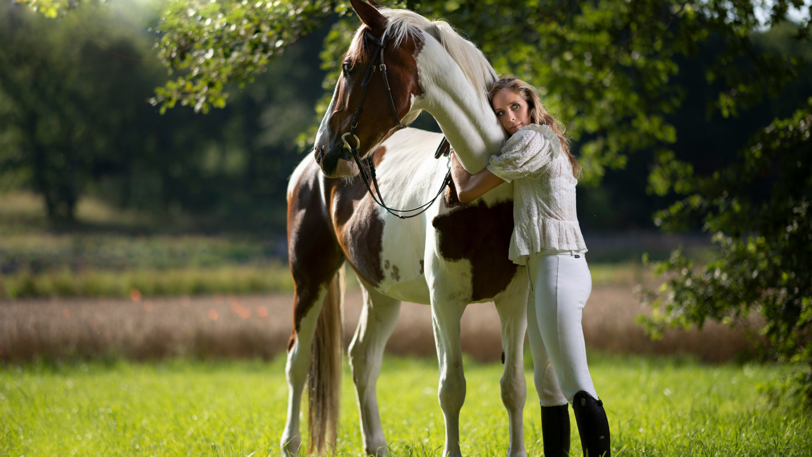 Молодая девушка обнимает большого коня