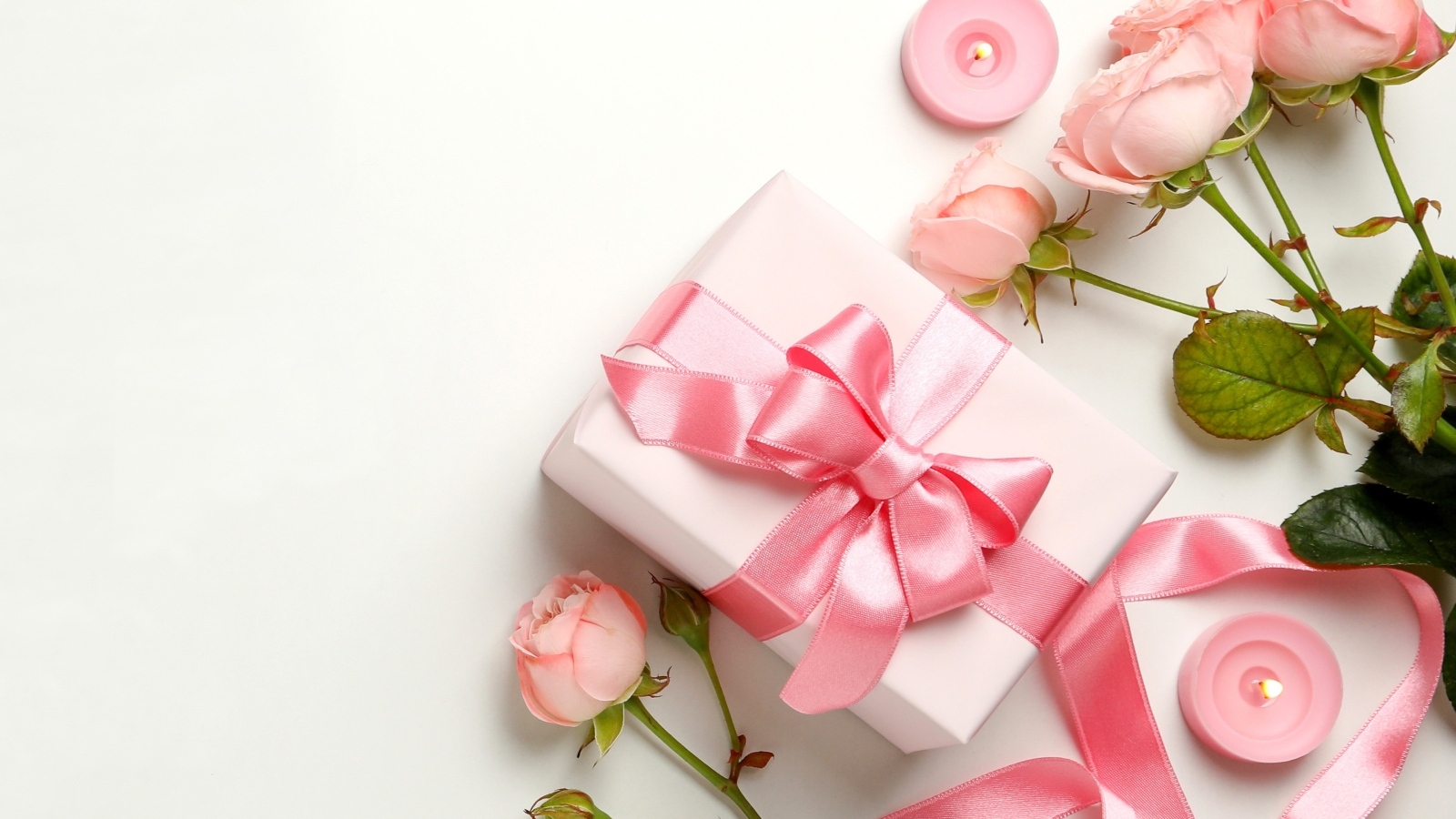 Розовые розы с подарком на белом фоне,  шаблон для открытки на 8 марта
