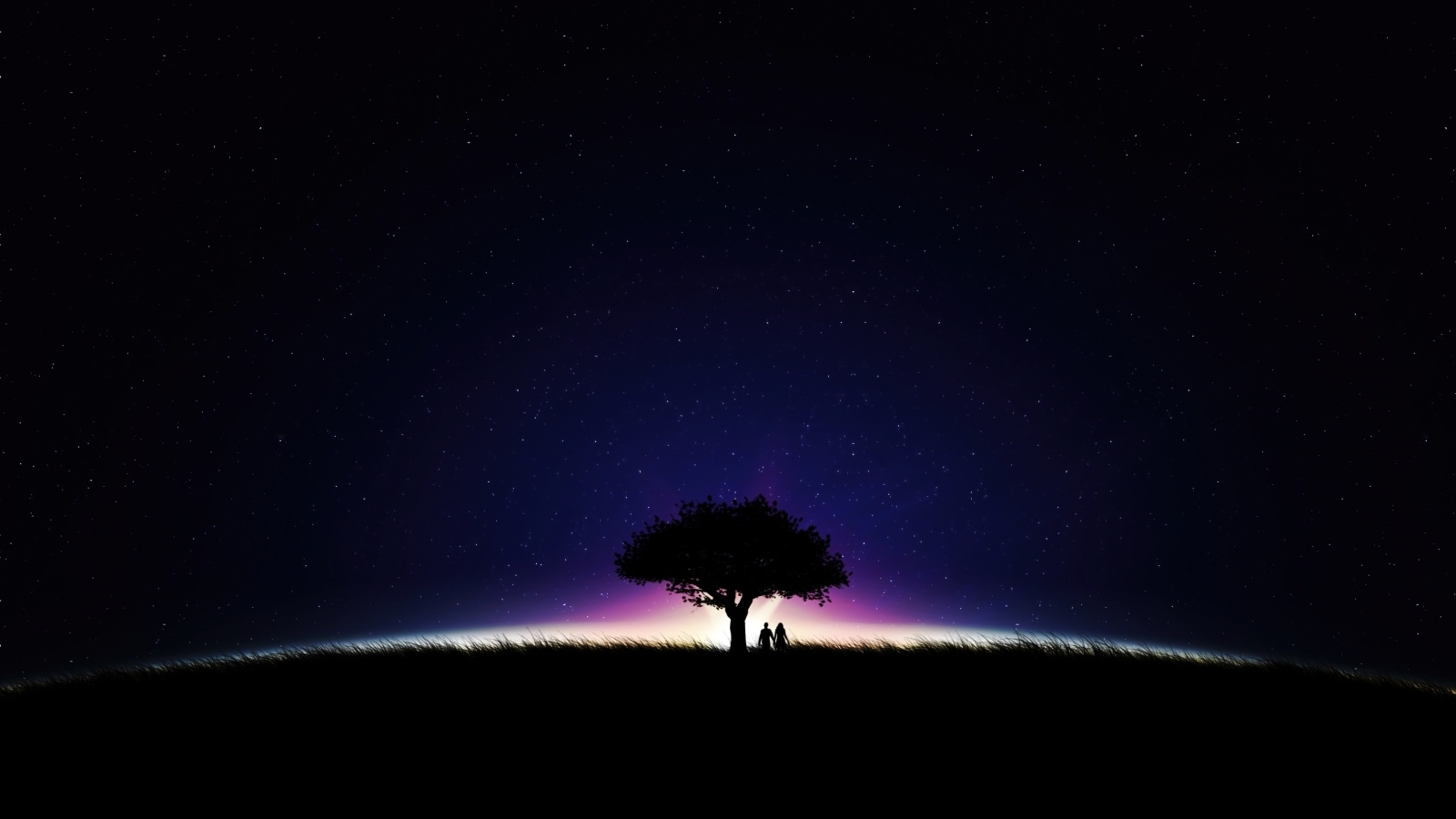 Большое дерево на фоне неба ночью