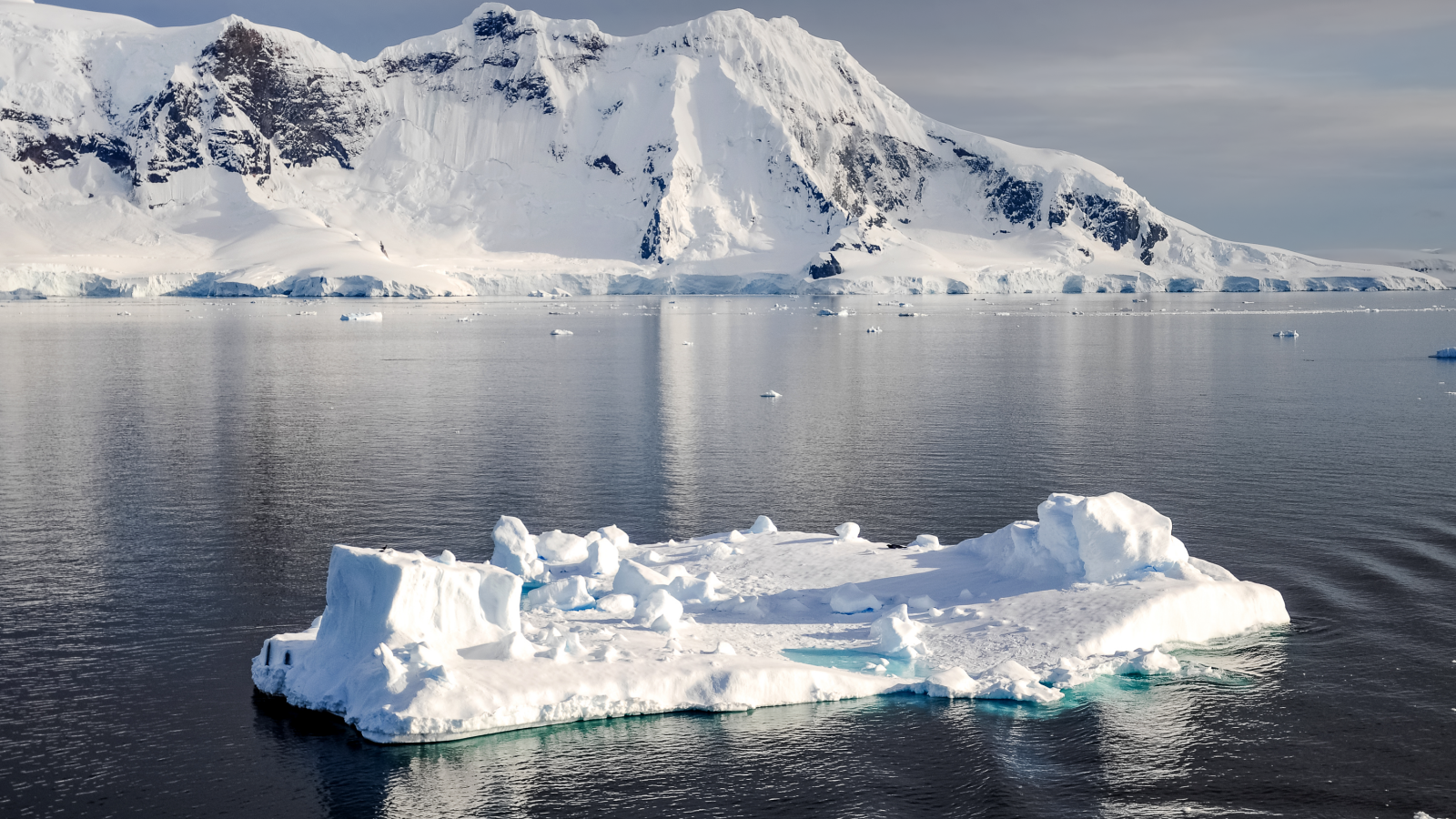 Холодный айсберг в воде у заснеженных гор, Антарктика