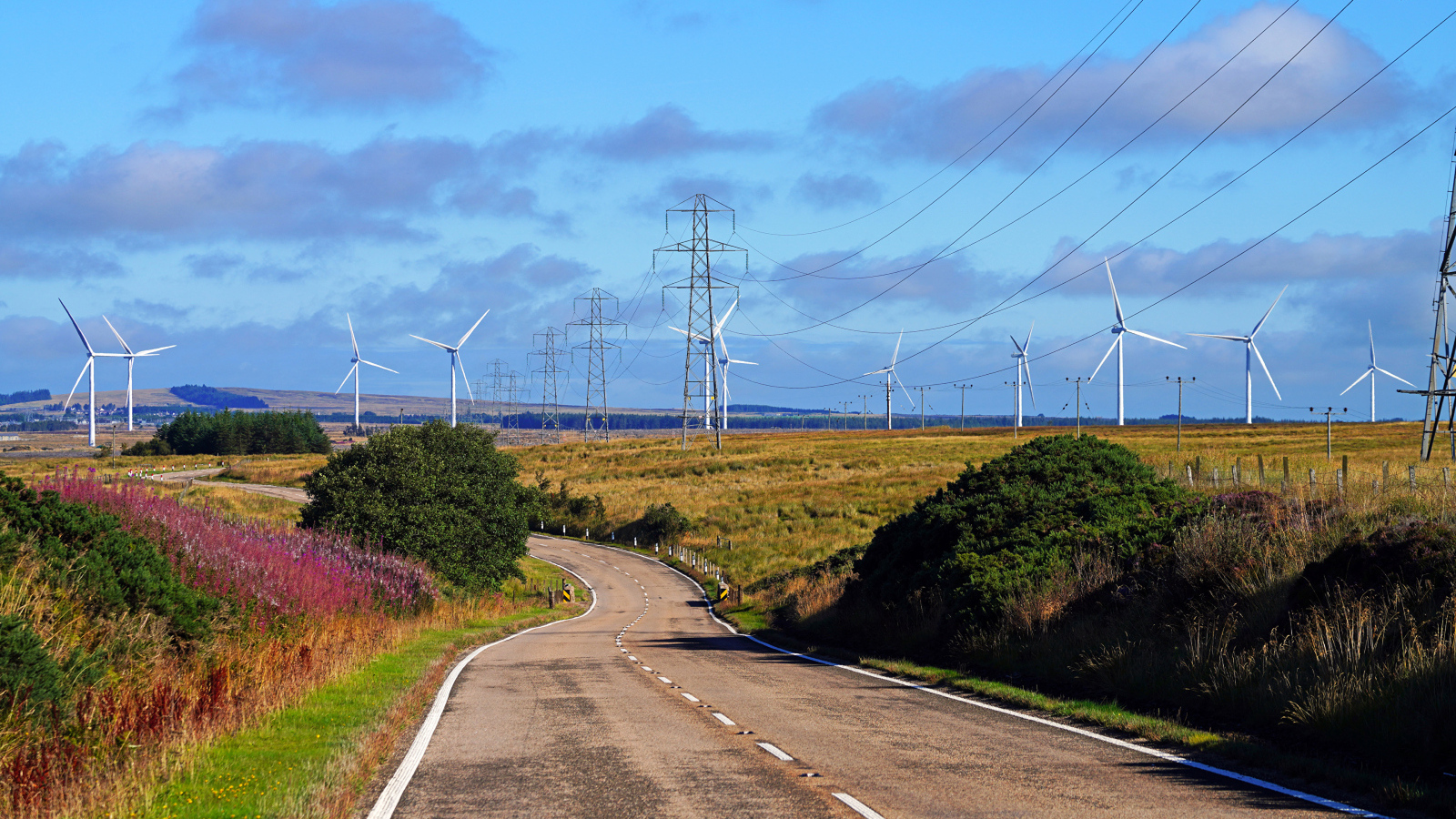 Ветрогенераторы в поле у дороги под голубым небом