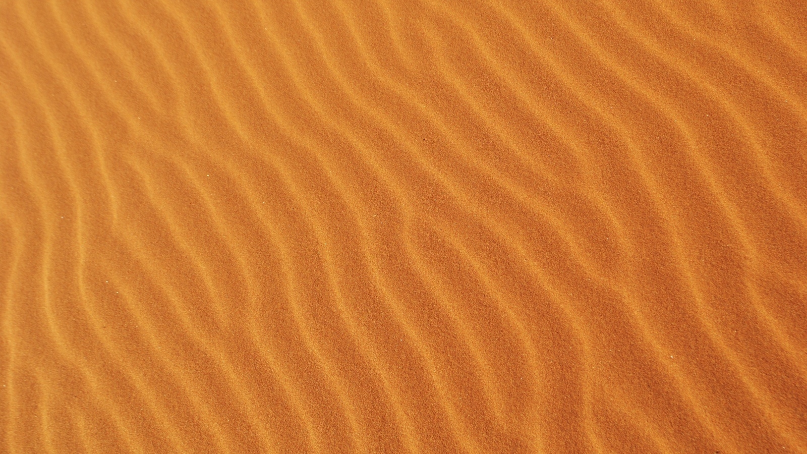 Волнистый горячий песок пустыни крупным планом