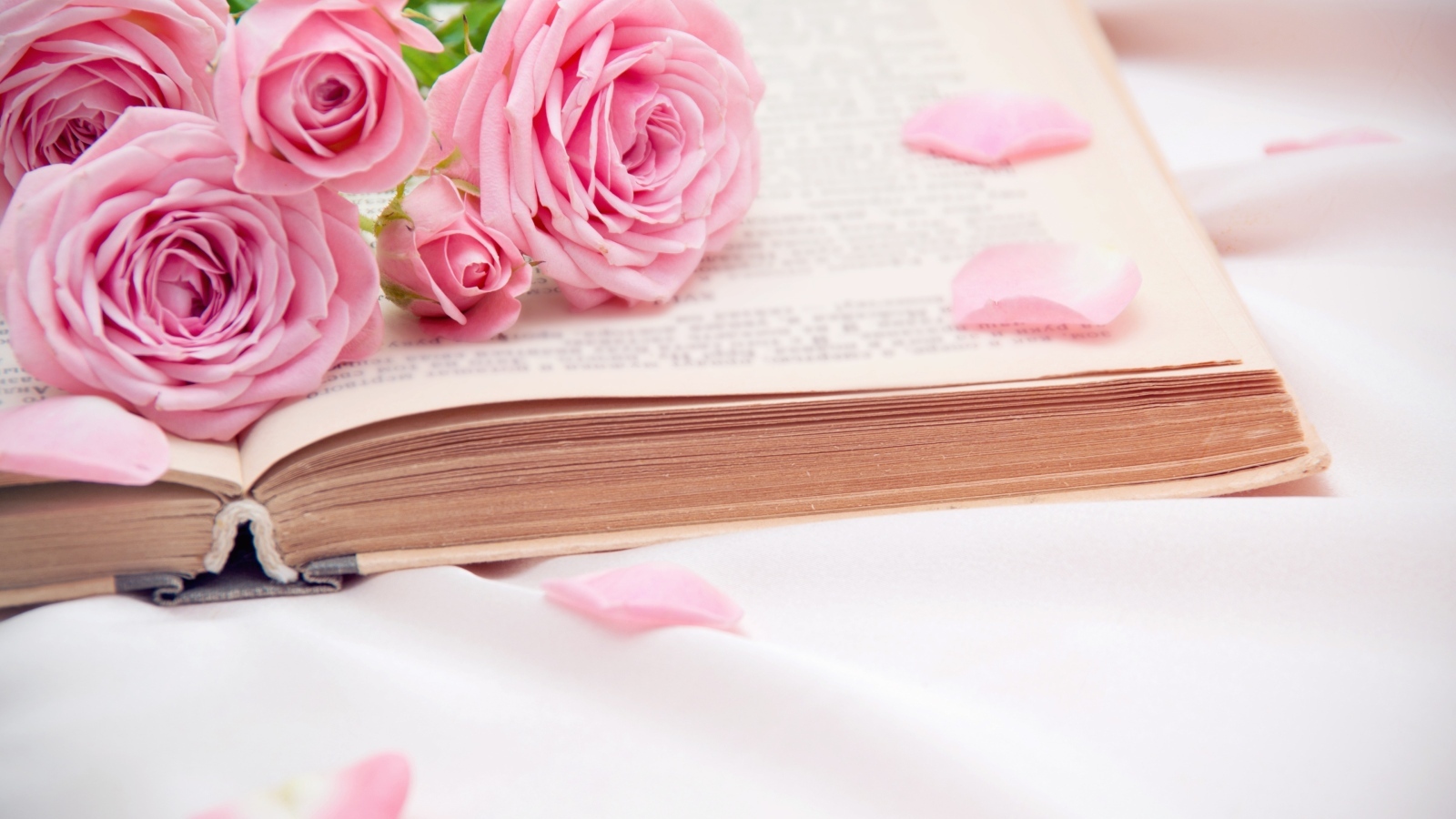 Букет розовых роз лежит на книге