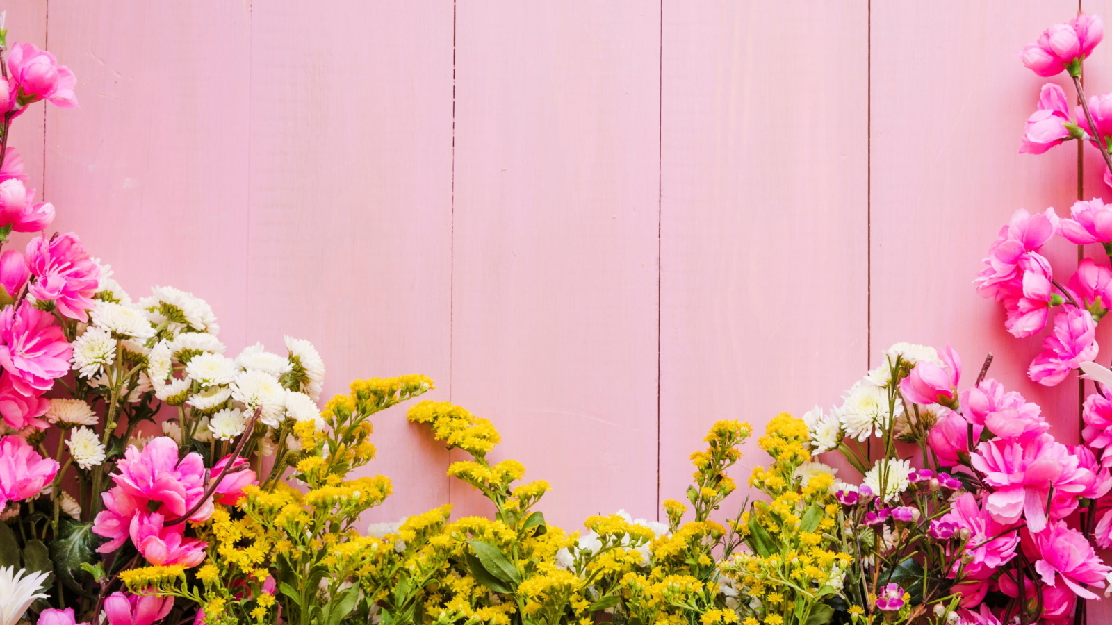 Красивые цветы на розовом фоне