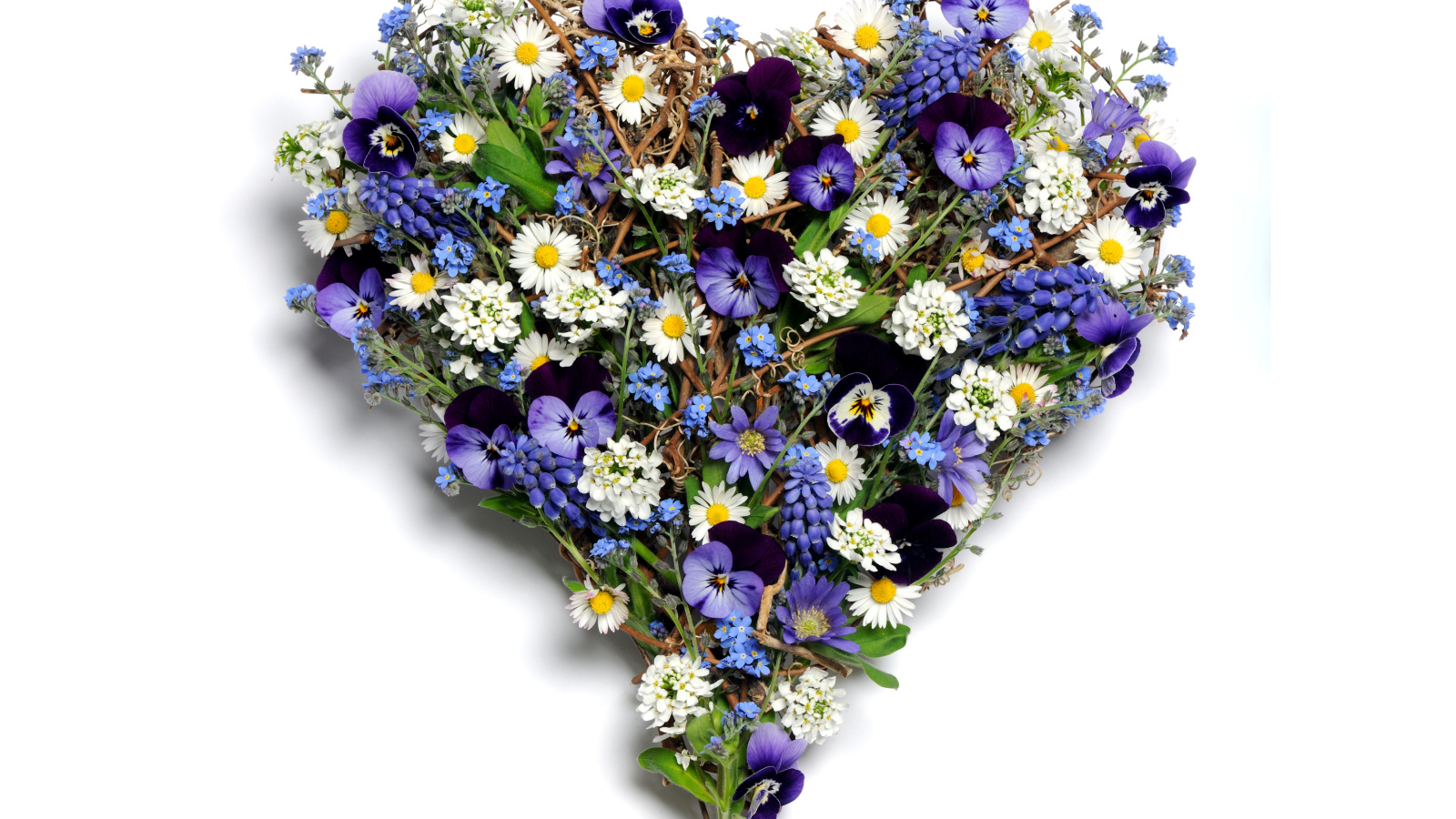 Красивое сердце из цветов на белом фоне