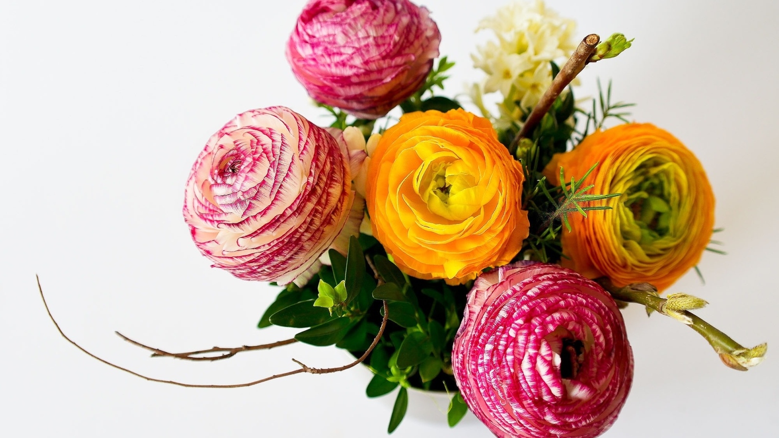 Букет разноцветных цветов лютика на сером фоне