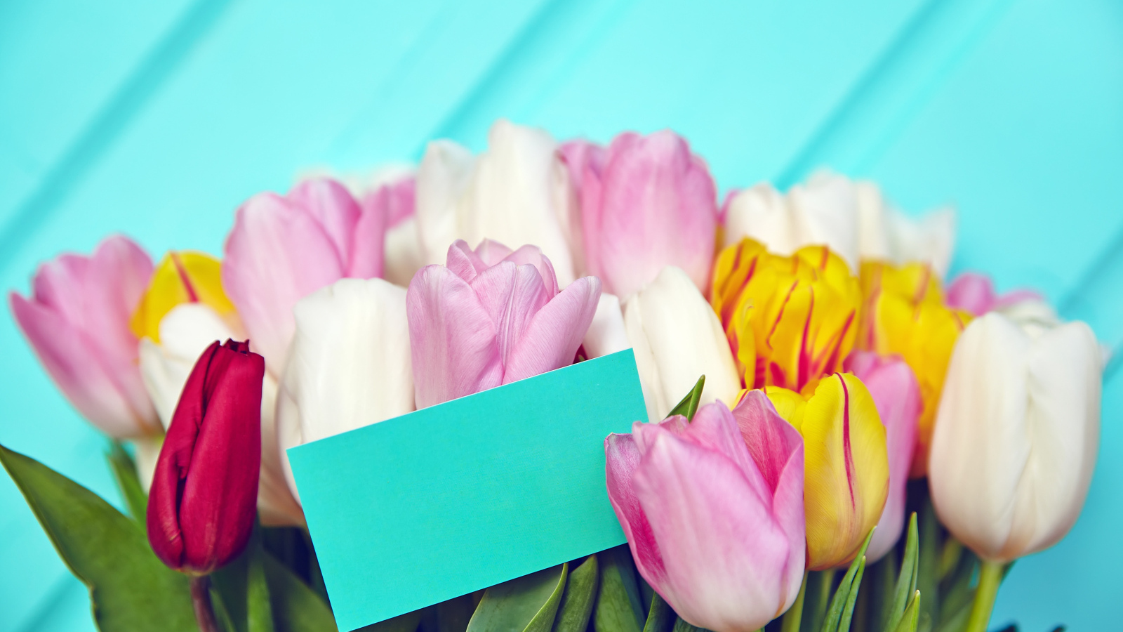 Букет разноцветных тюльпанов с открыткой