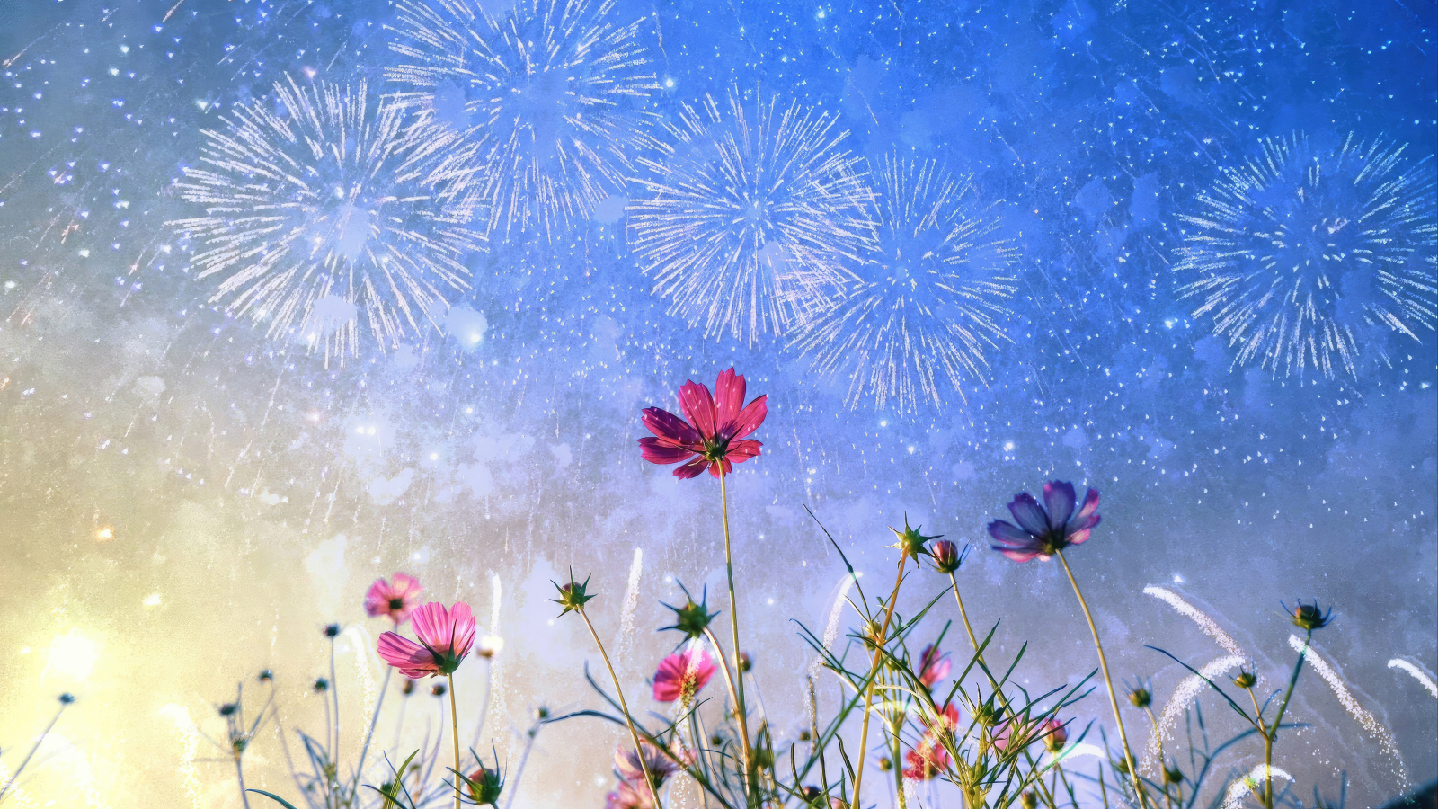 Салют в небе над цветами космеи