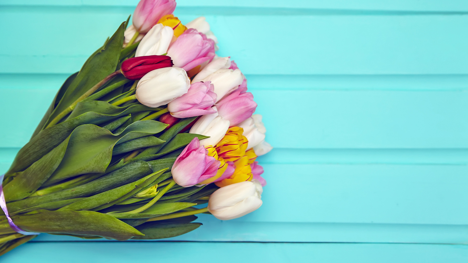 Большой букет разноцветных тюльпанов на голубом фоне