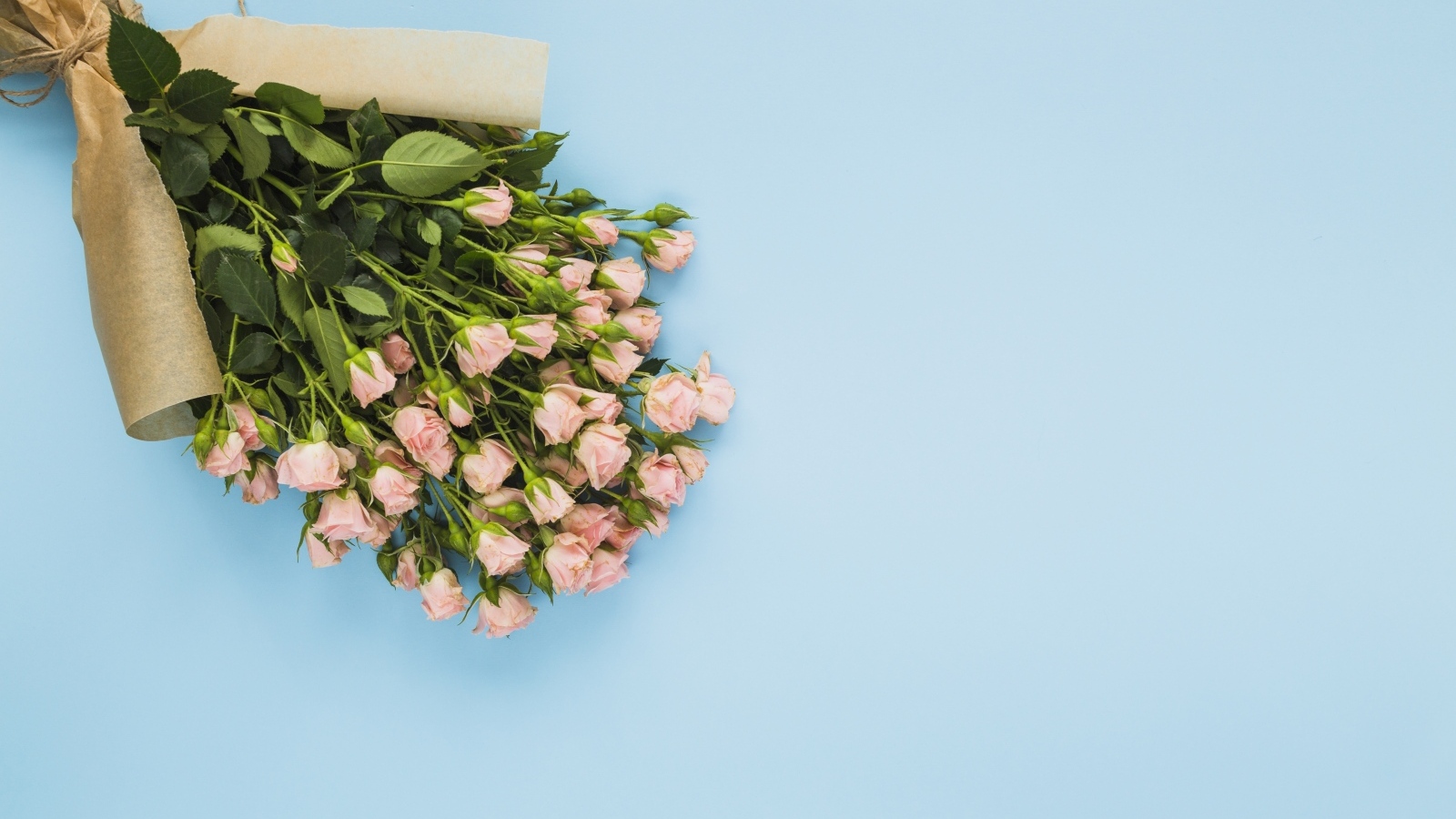 Большой букет розовых роз на голубом фоне