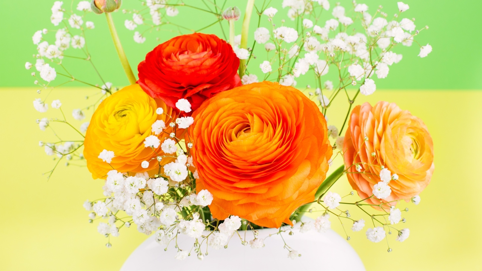 Оранжевые лютики с белыми цветами гипсофилы