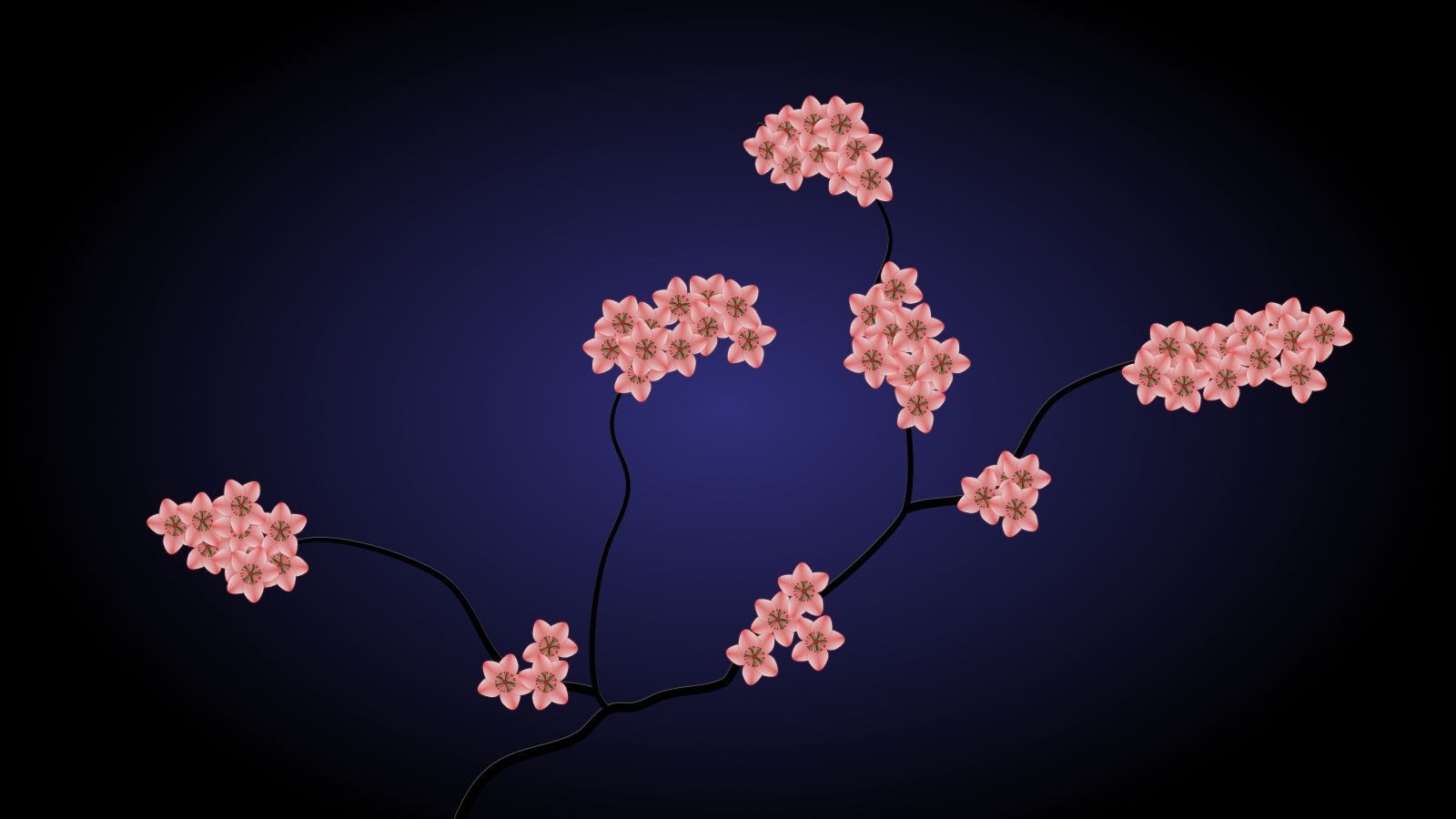 Нарисованные розовые цветы на синем фоне