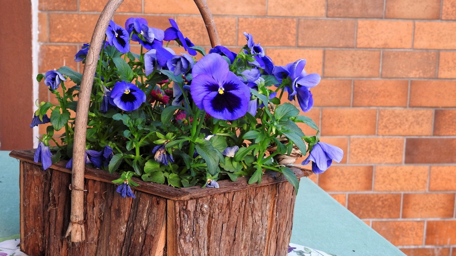 Цветы анютины глазки в декоративной корзине