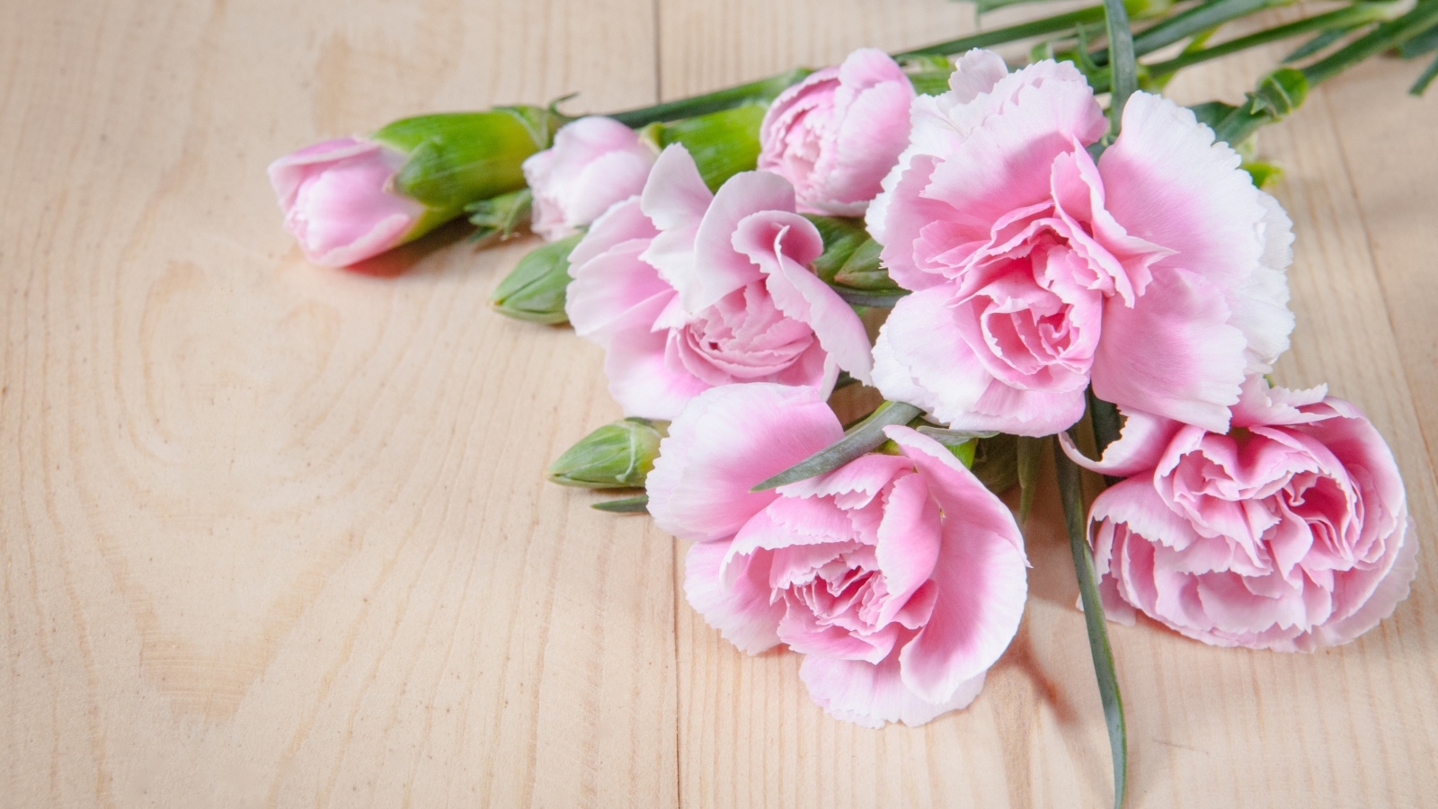 Розовые гвоздики на столе