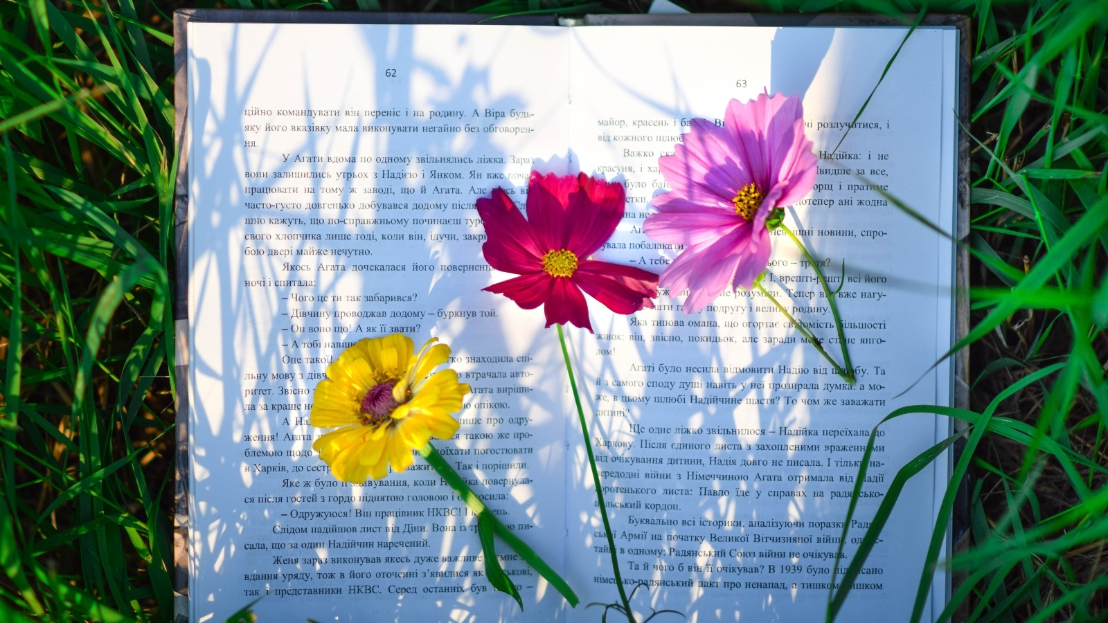 Три цветка лежат на книге в траве