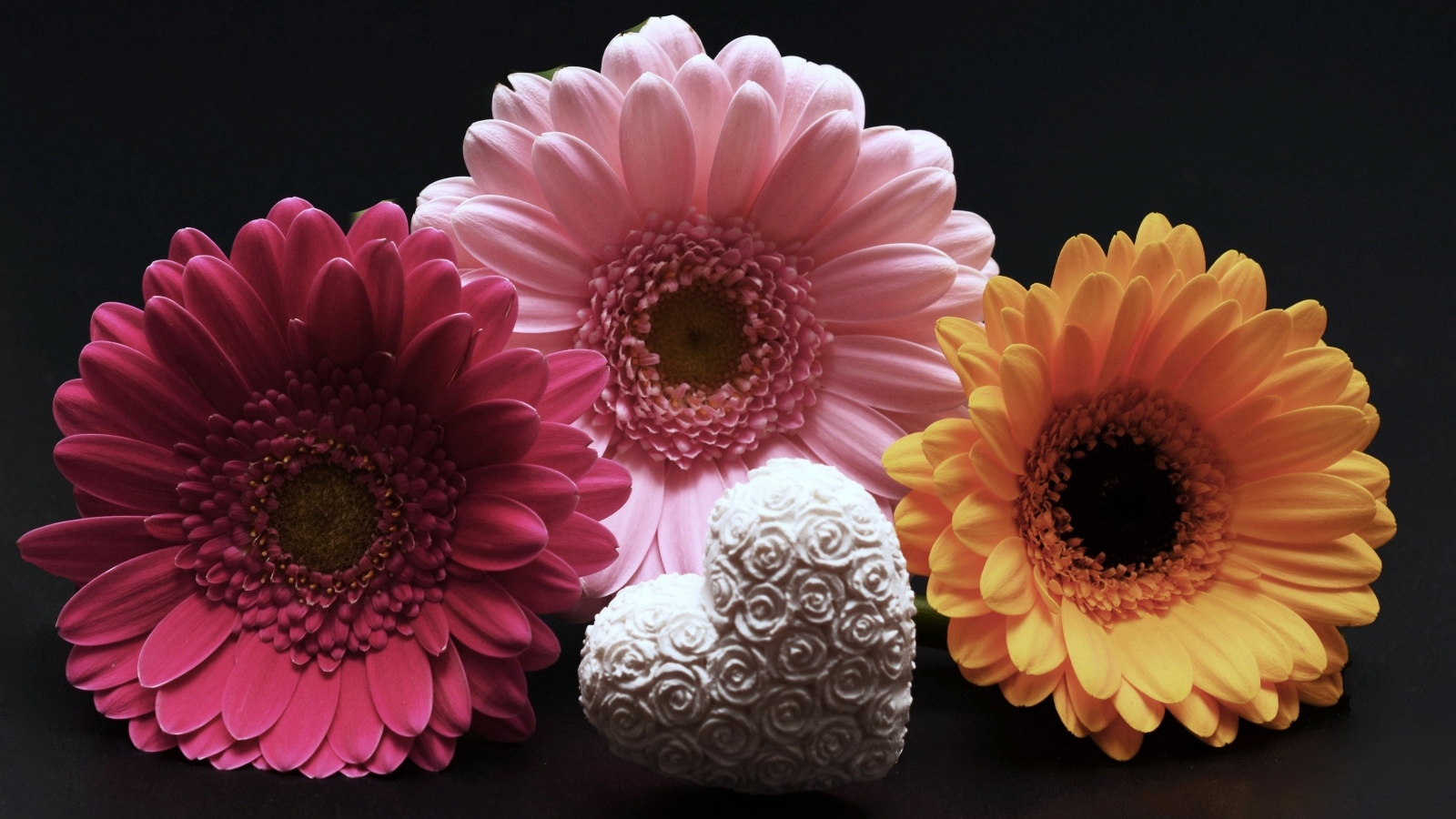 Белое сердце и три герберы на черном фоне