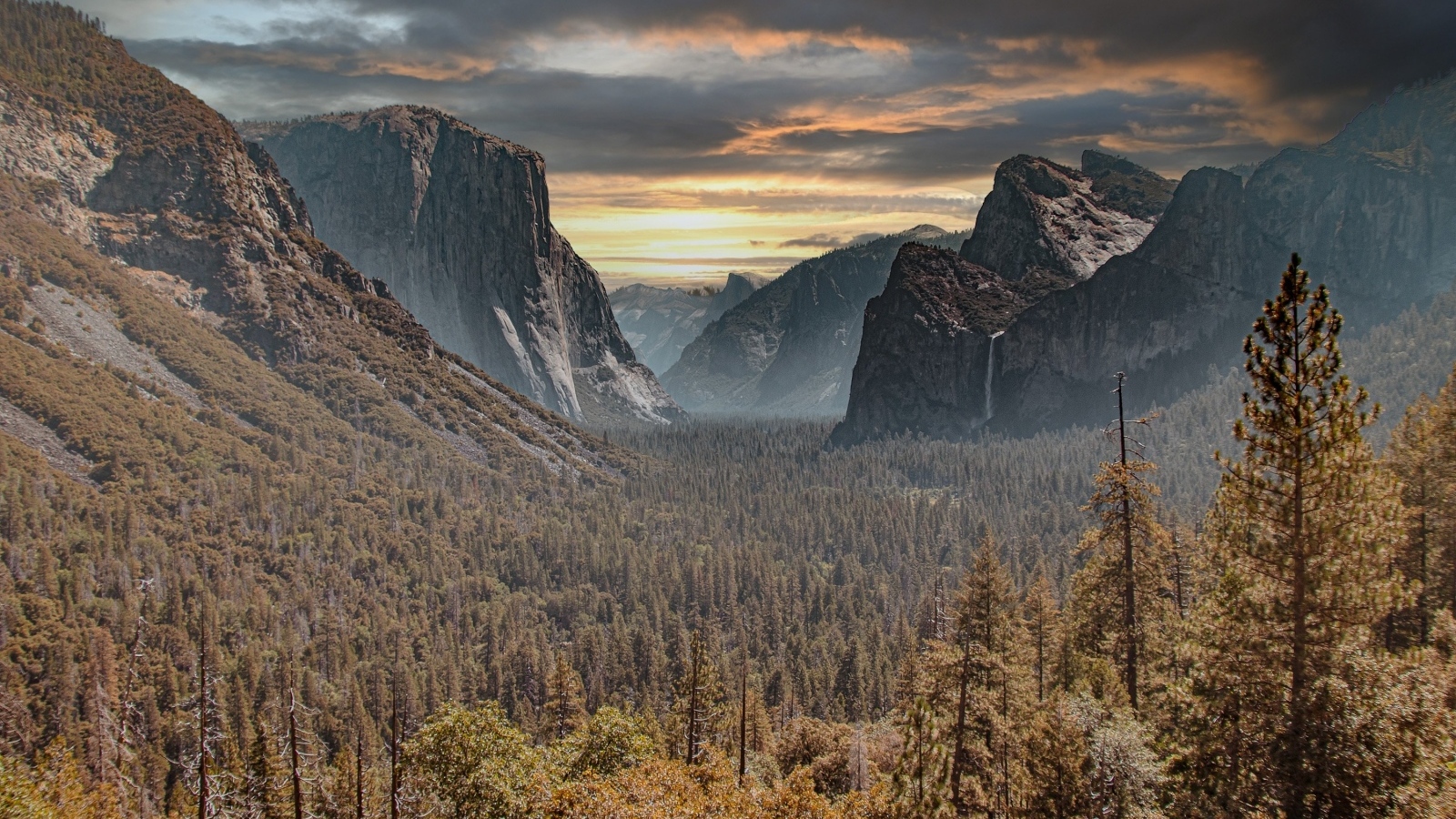 Красивый вид на хвойный лес и голы под грозовым небом