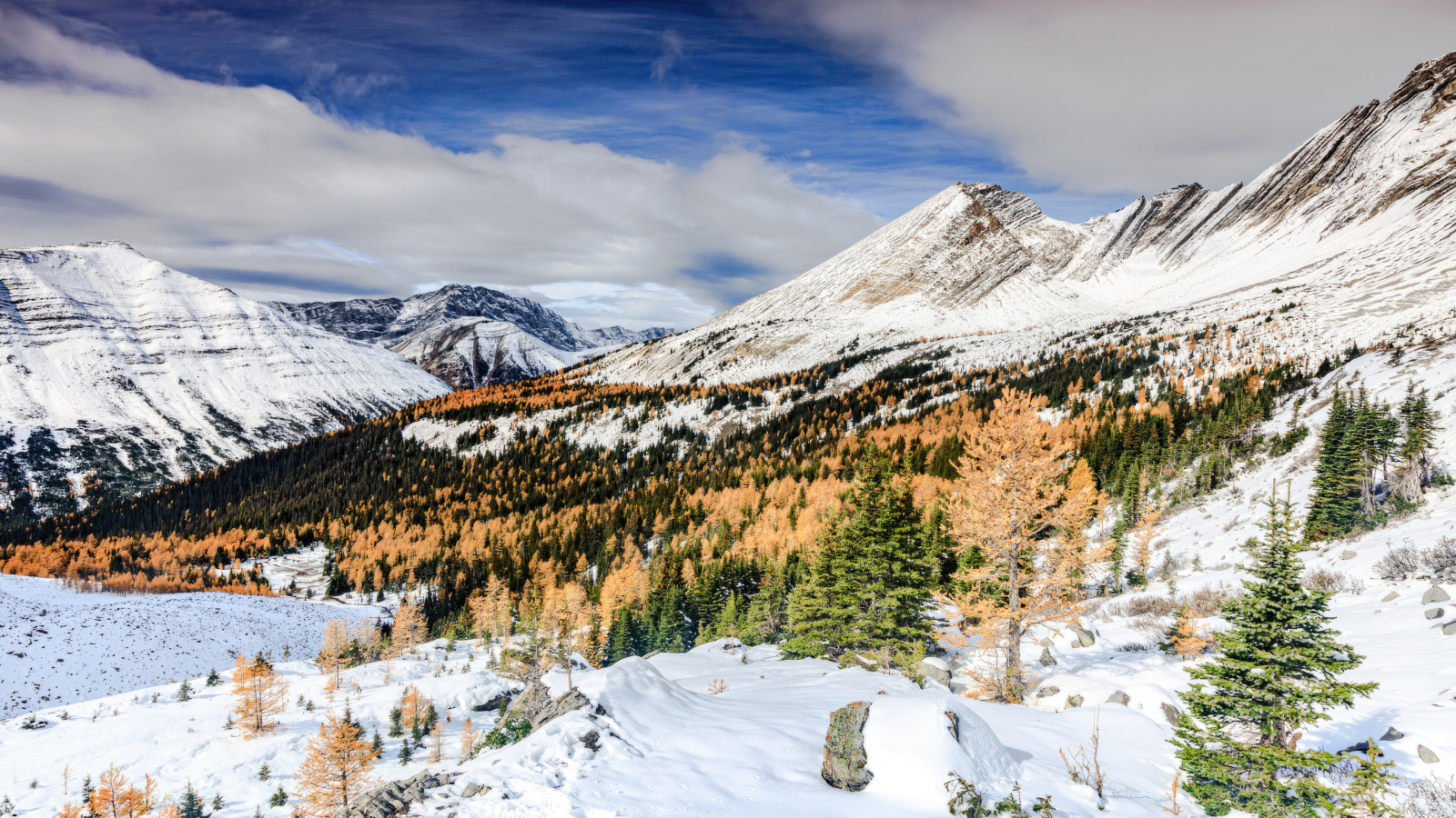 Красивый вид на холодные заснеженные горы