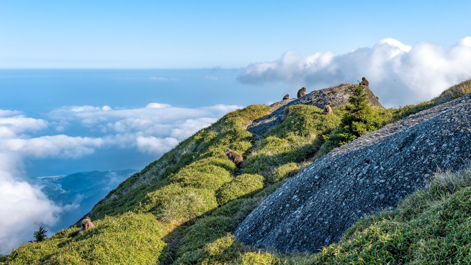 Высокие покрытые зеленью горы выше облаков