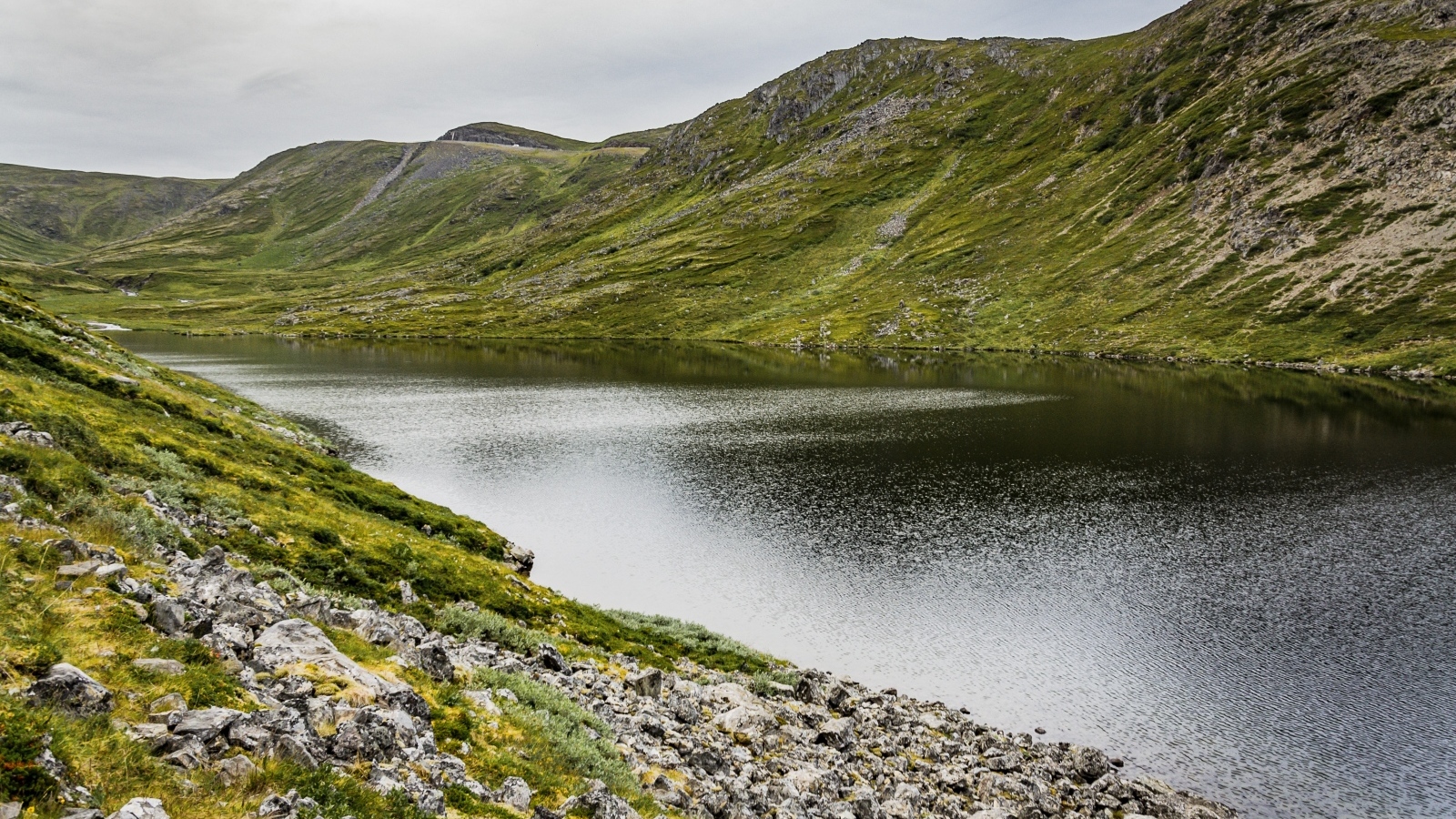 Спокойная река у покрытых зеленью холмов