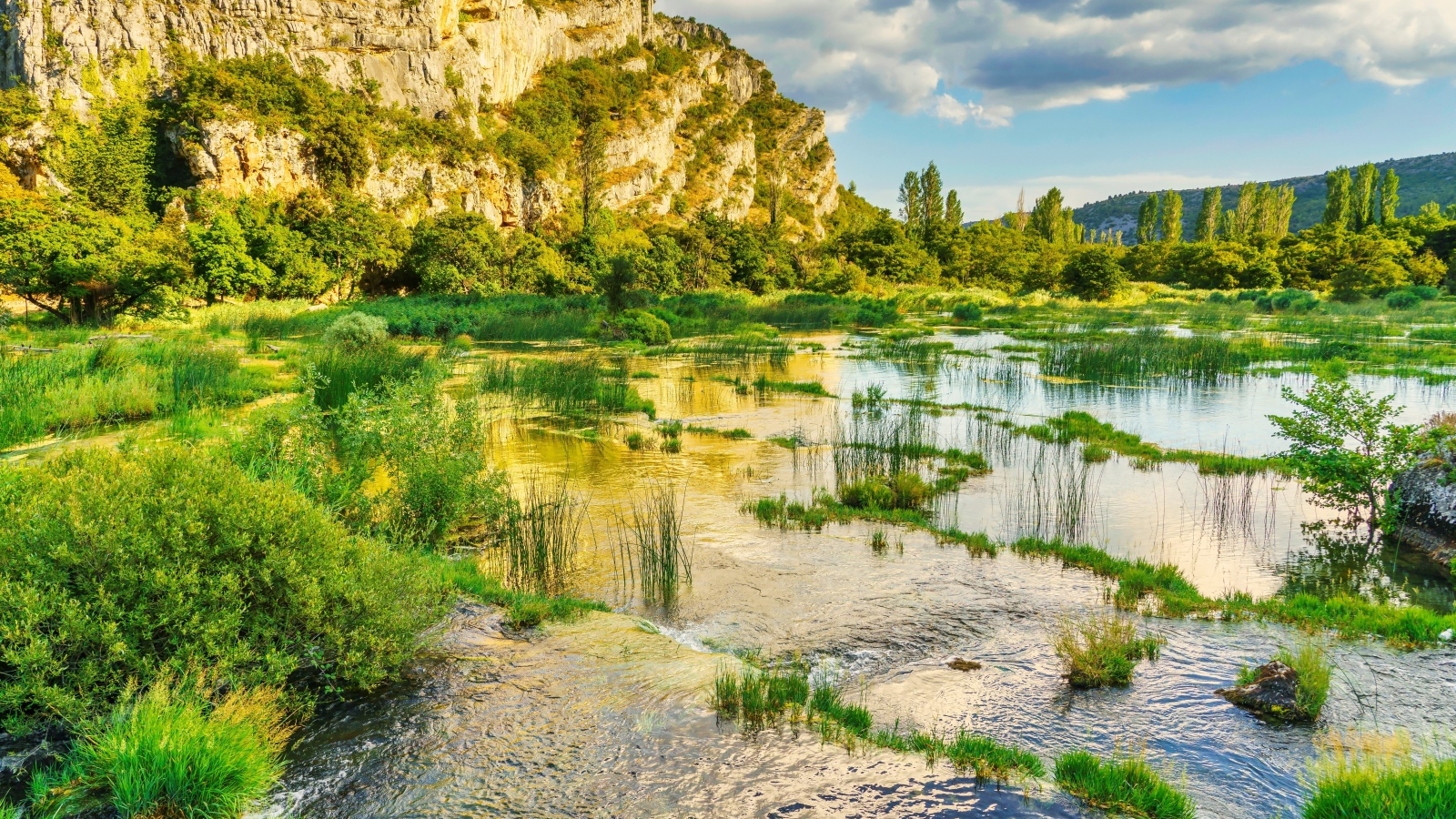 Река с зелеными растениями у горы