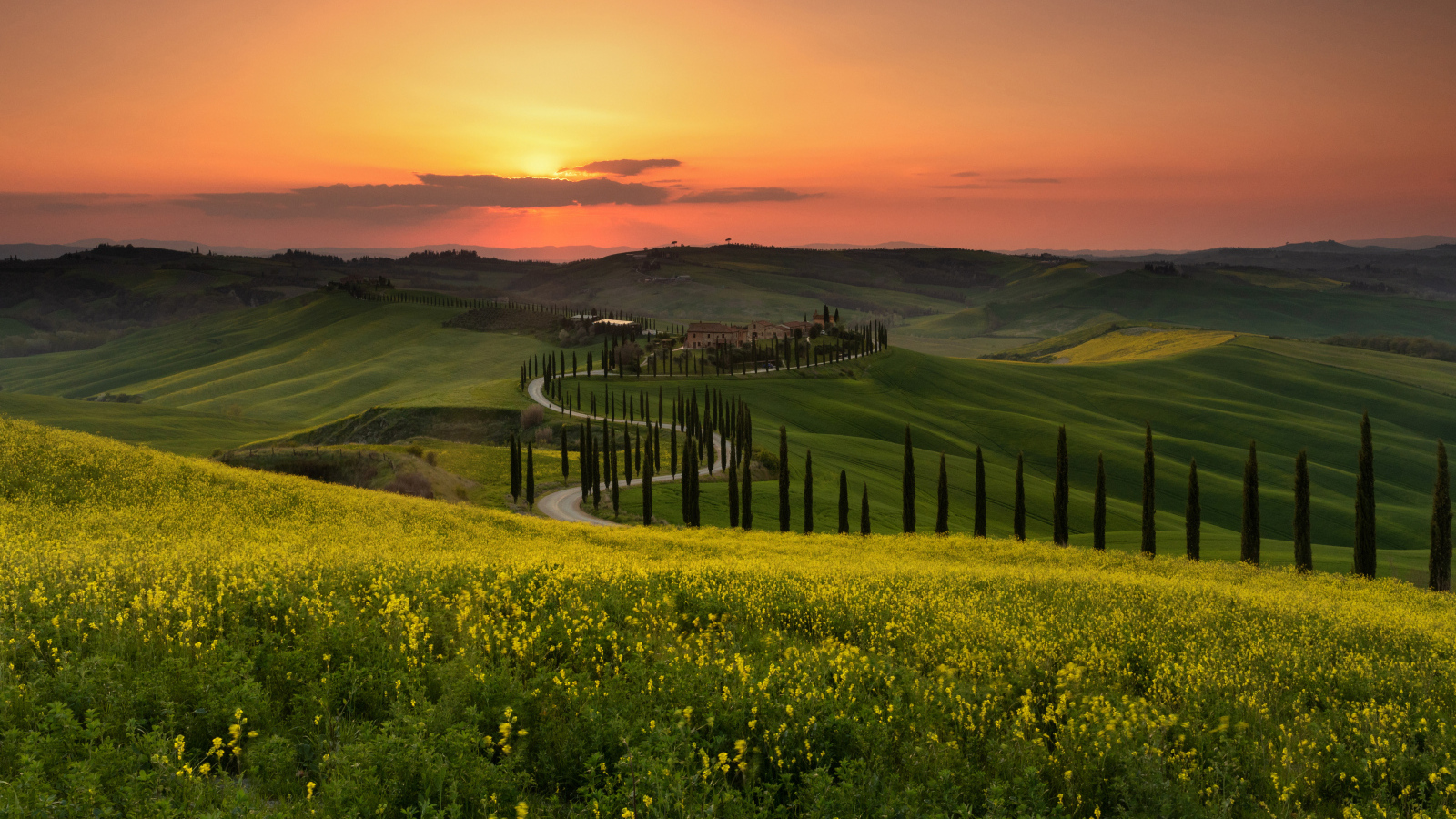 Красивый вид на зеленые холмы на закате