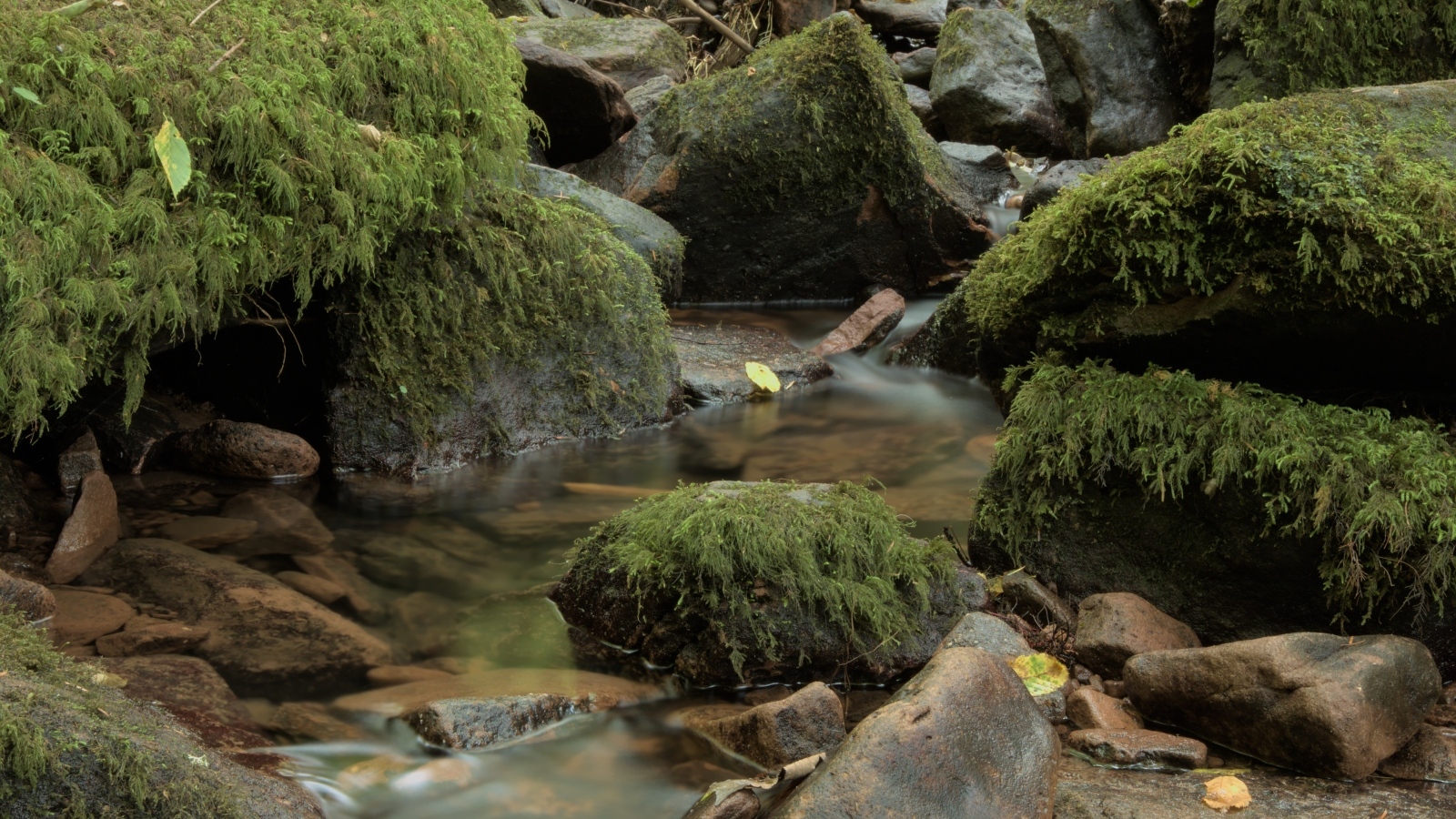 Лесной водопад стекает по холодным камням осенью