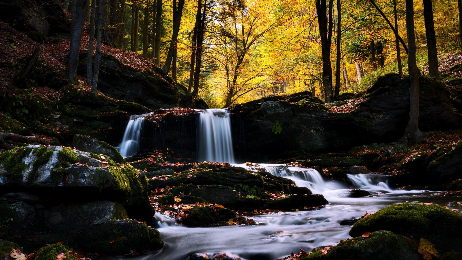 Лесной водопад стекает по камням в лесу