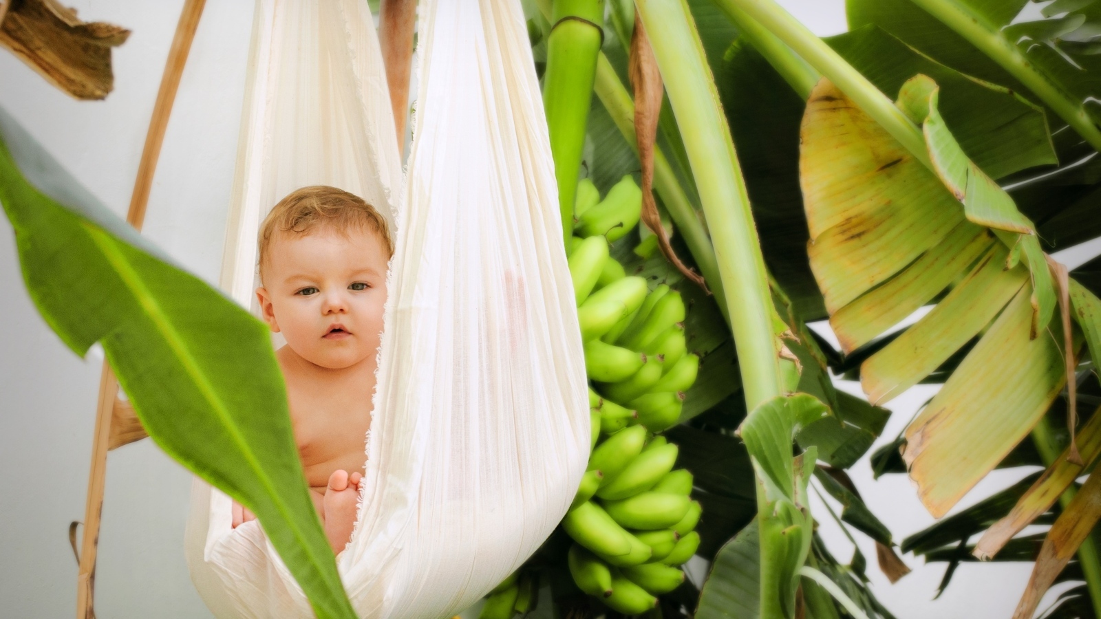 Ребенок в гамаке в тропических зарослях