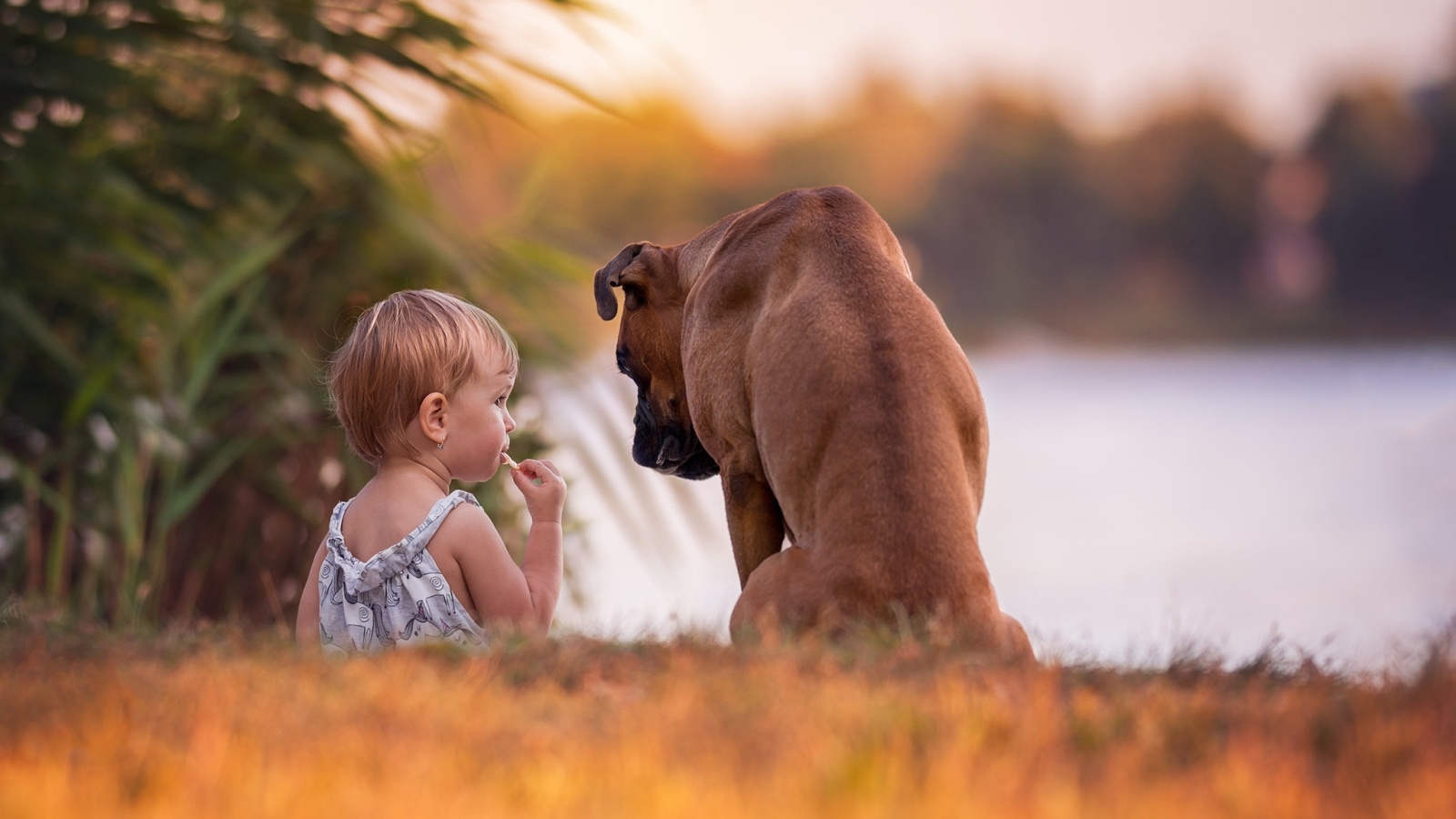 Девочка с собакой на берегу реки
