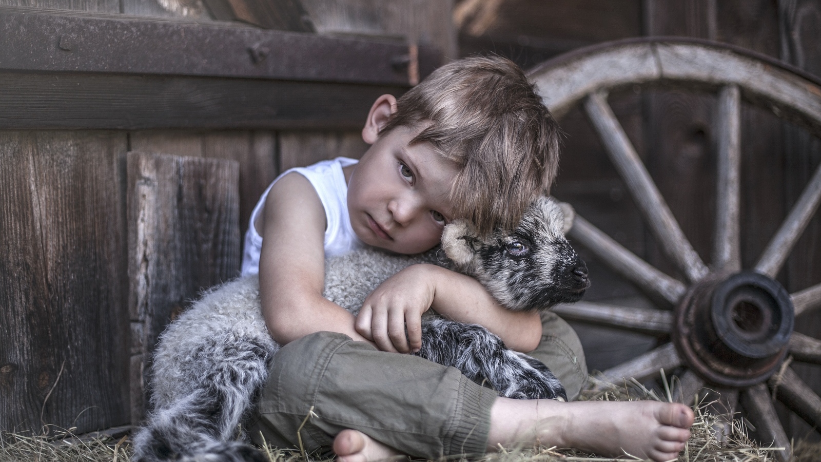 Маленький грустный мальчик обнимает ягненка