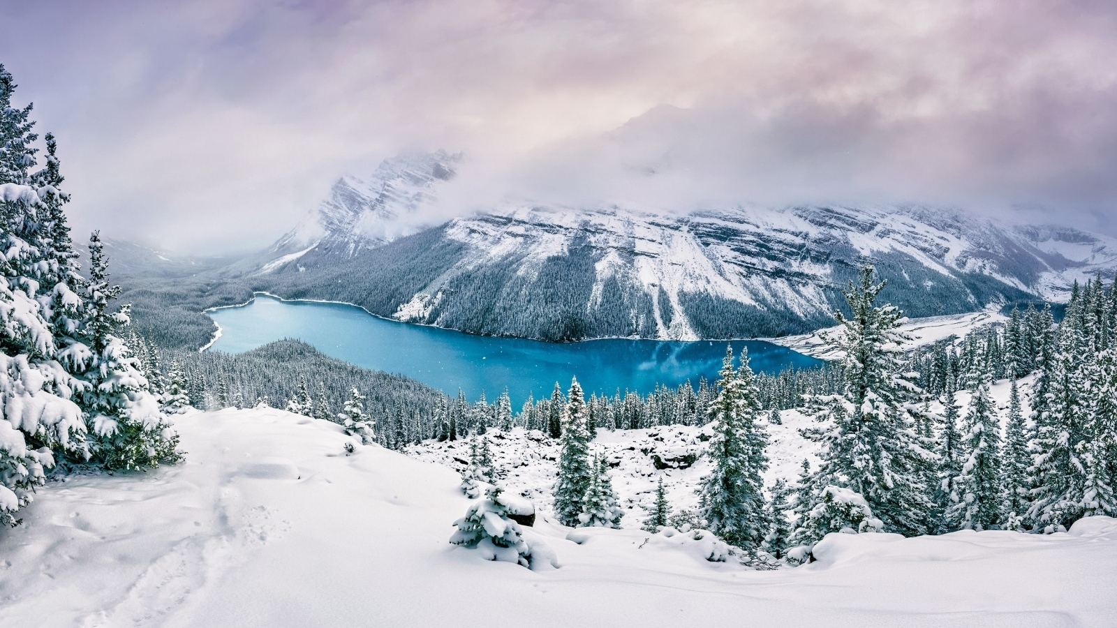 Вид на заснеженные горы, лес и реку