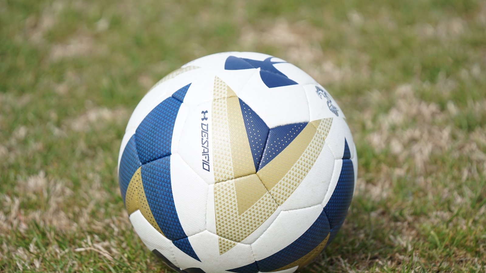 Большой футбольный мяч на поле