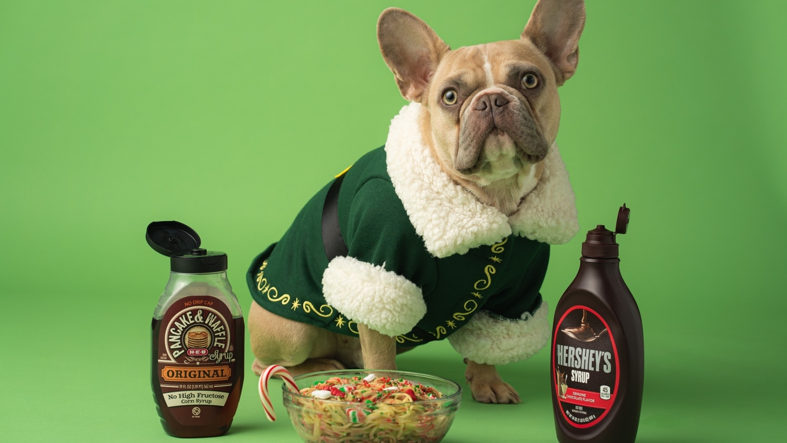 Пес французский бульдог с едой на зеленом фоне