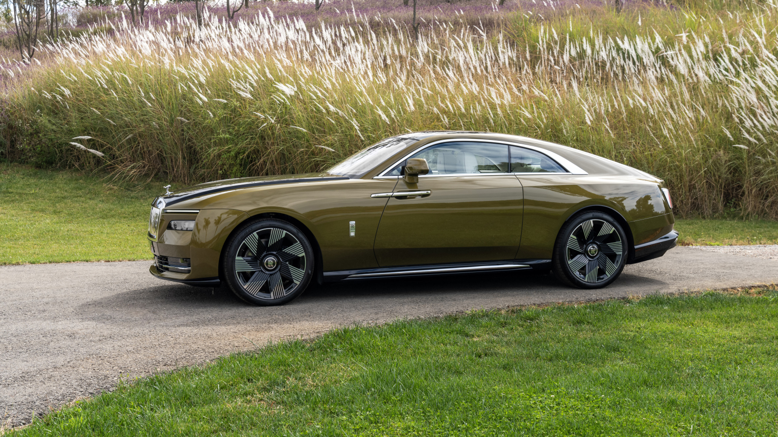 Оливковый автомобиль Rolls-Royce Spectre у высокой травы