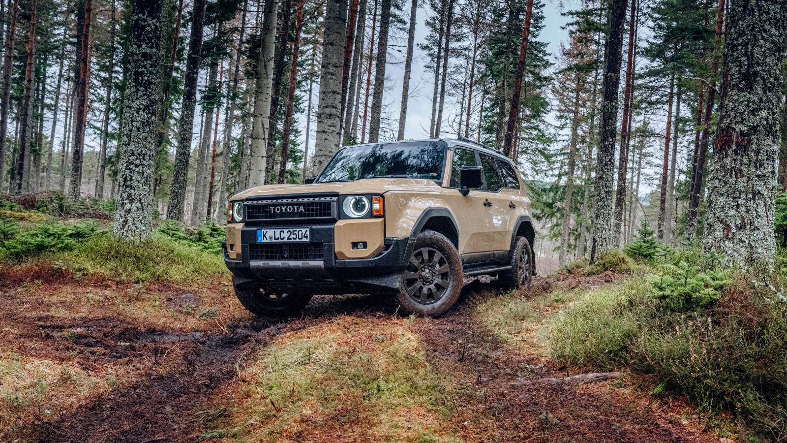 Внедорожник Toyota Land Cruiser First Edition в лесу