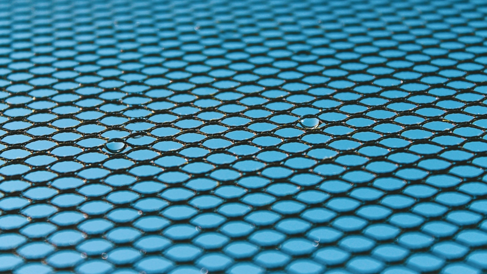 Черная сетка на голубом для фона