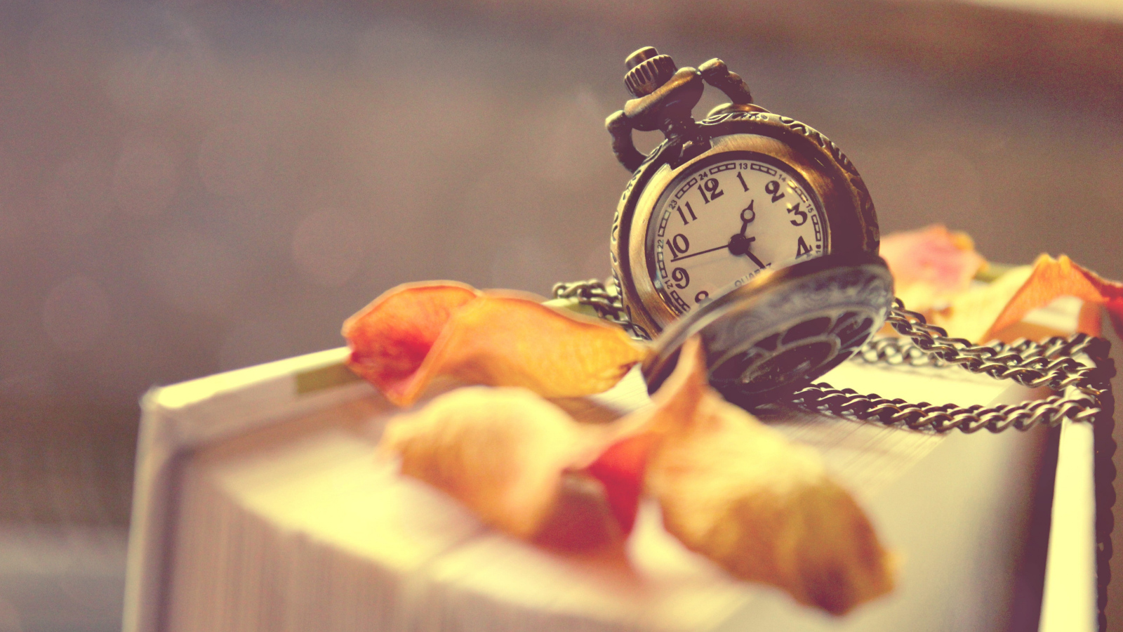 Старые карманные часы с сухими листьями лежат на книге